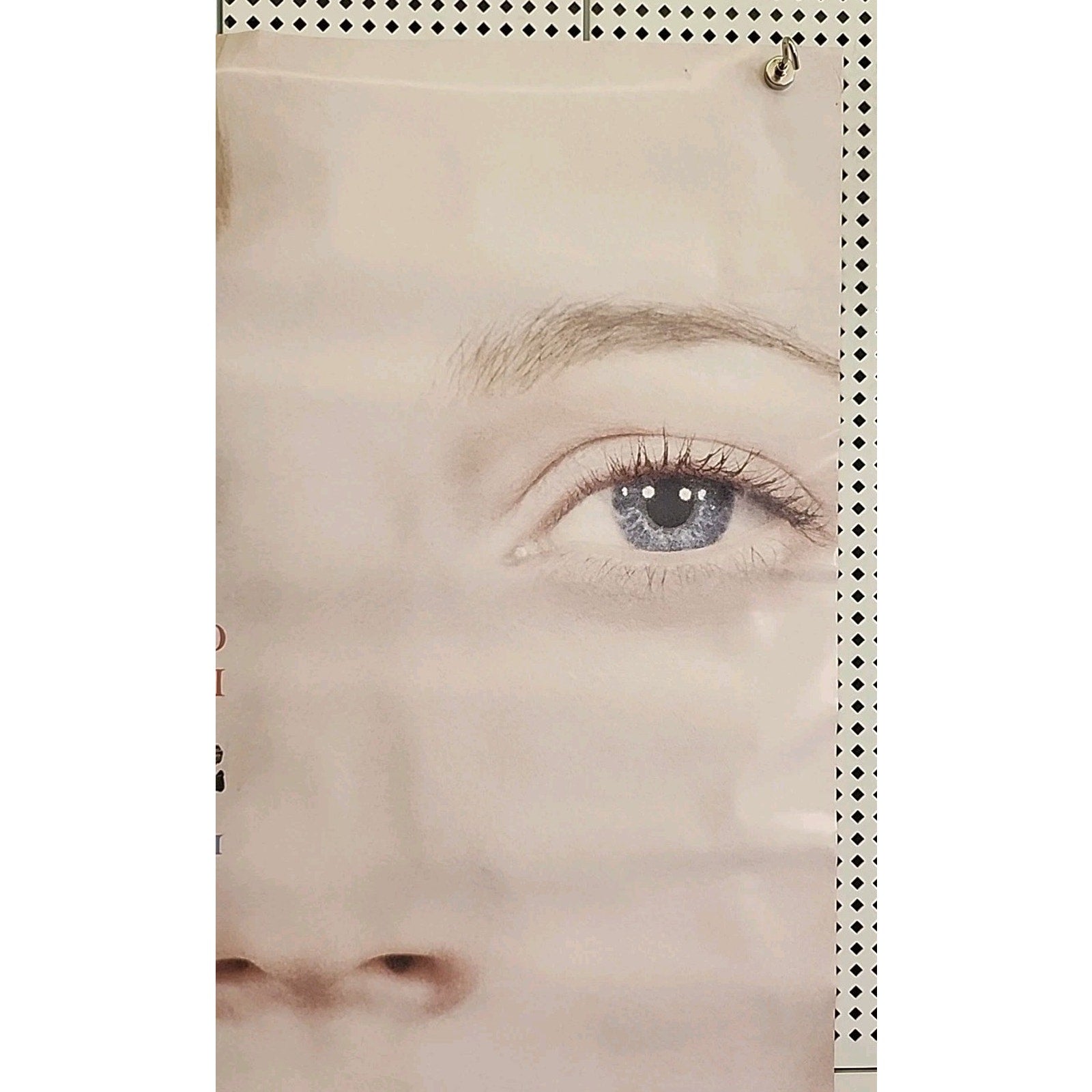 2003 Original Double Sided Sylvia Movie Poster 40” X 27” Sylvia Plath