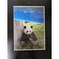 All About Pandas DVD