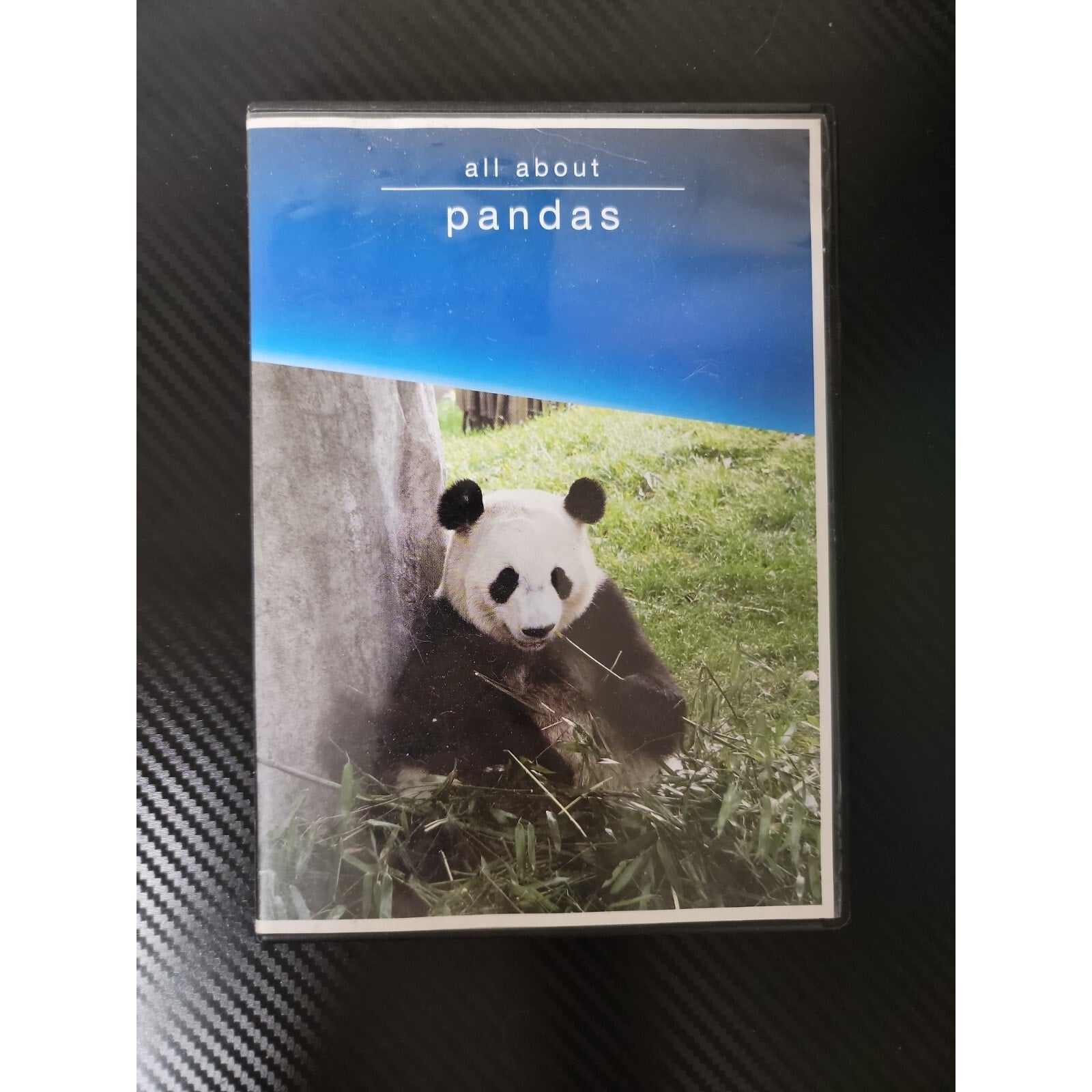 All About Pandas DVD