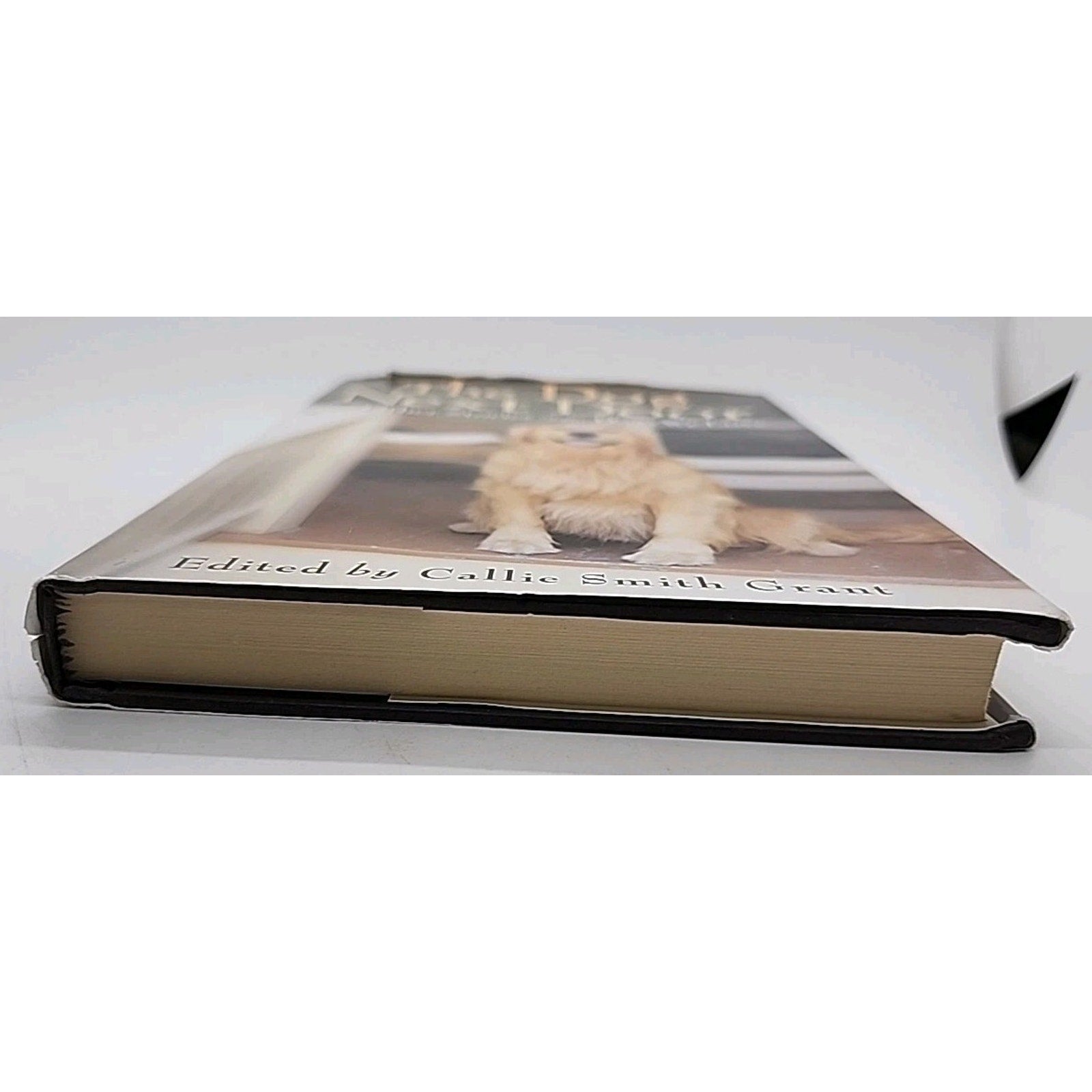The Dog Next Door and Other Stories of the Dogs We Love by Callie Smith Grant