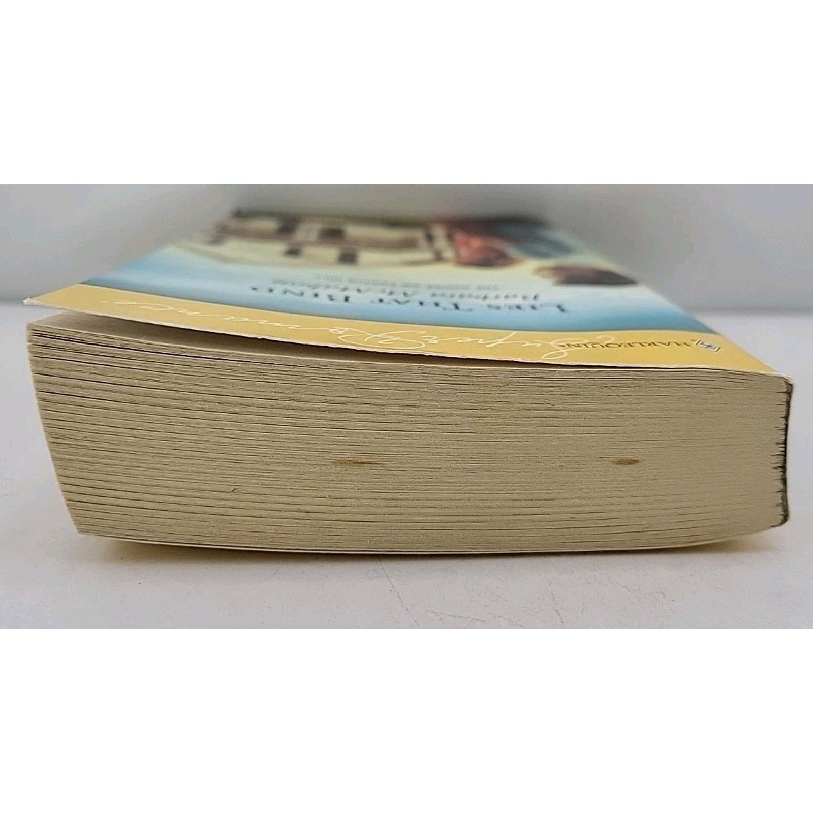 Lies That Bind by Barbara McMahon (2006, Larger Print)