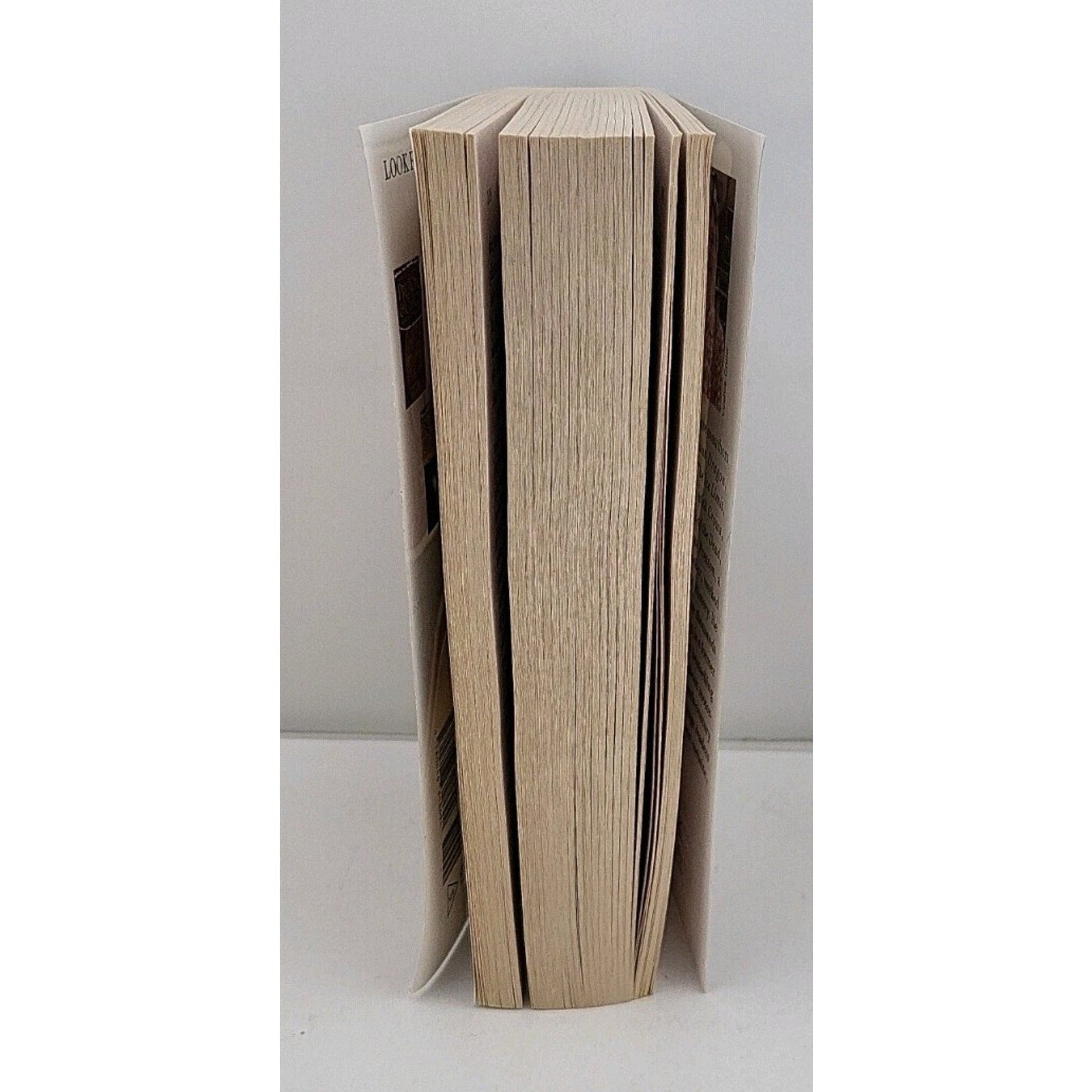 Cemetery Dance by Douglas Preston and Lincoln Child (2010, Mass Market)