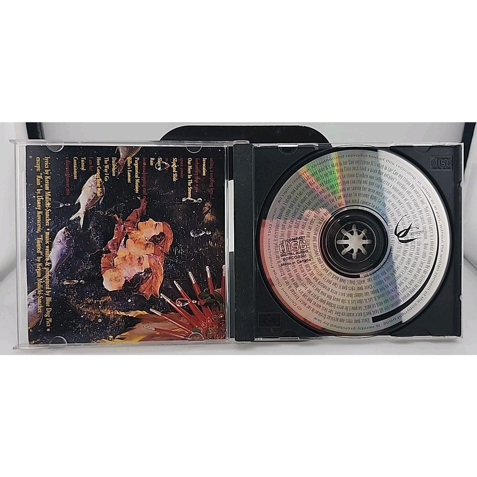 Blue Dog Pict - A Nodding Into Anxiety Of Influence (CD)