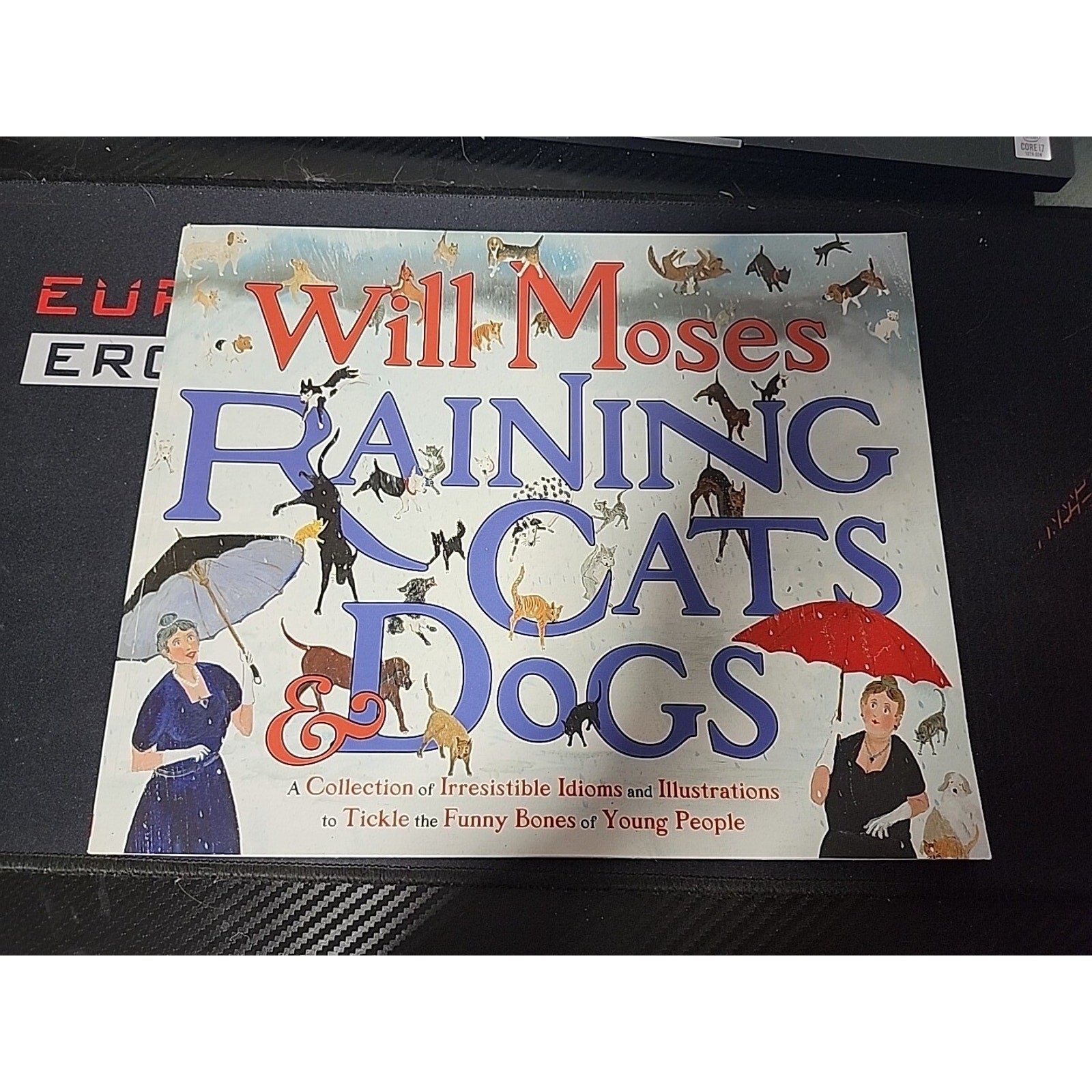 Raining Cats and Dogs : A Collection of Irresistible Idioms and Illustrations t