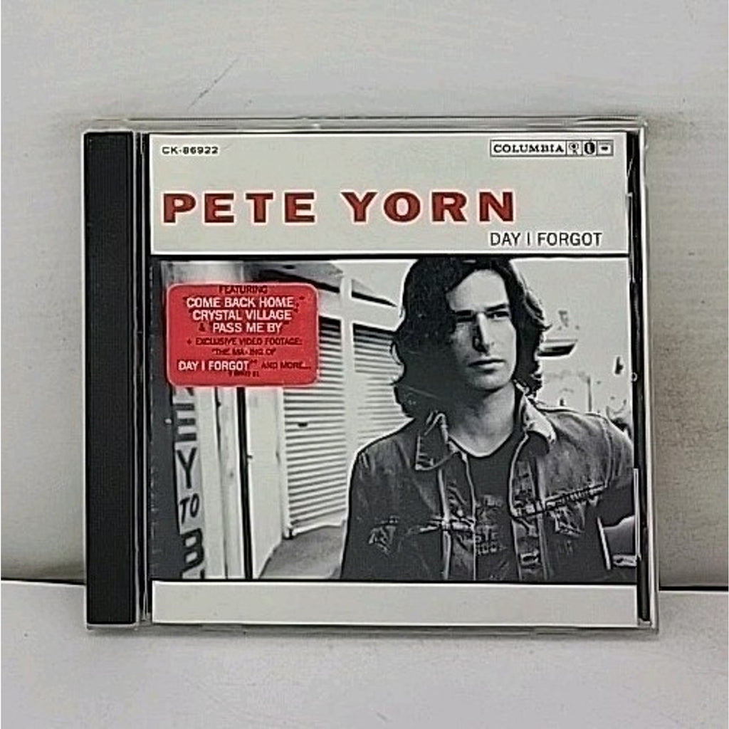 Day I Forgot by Pete Yorn (CD, 2003)