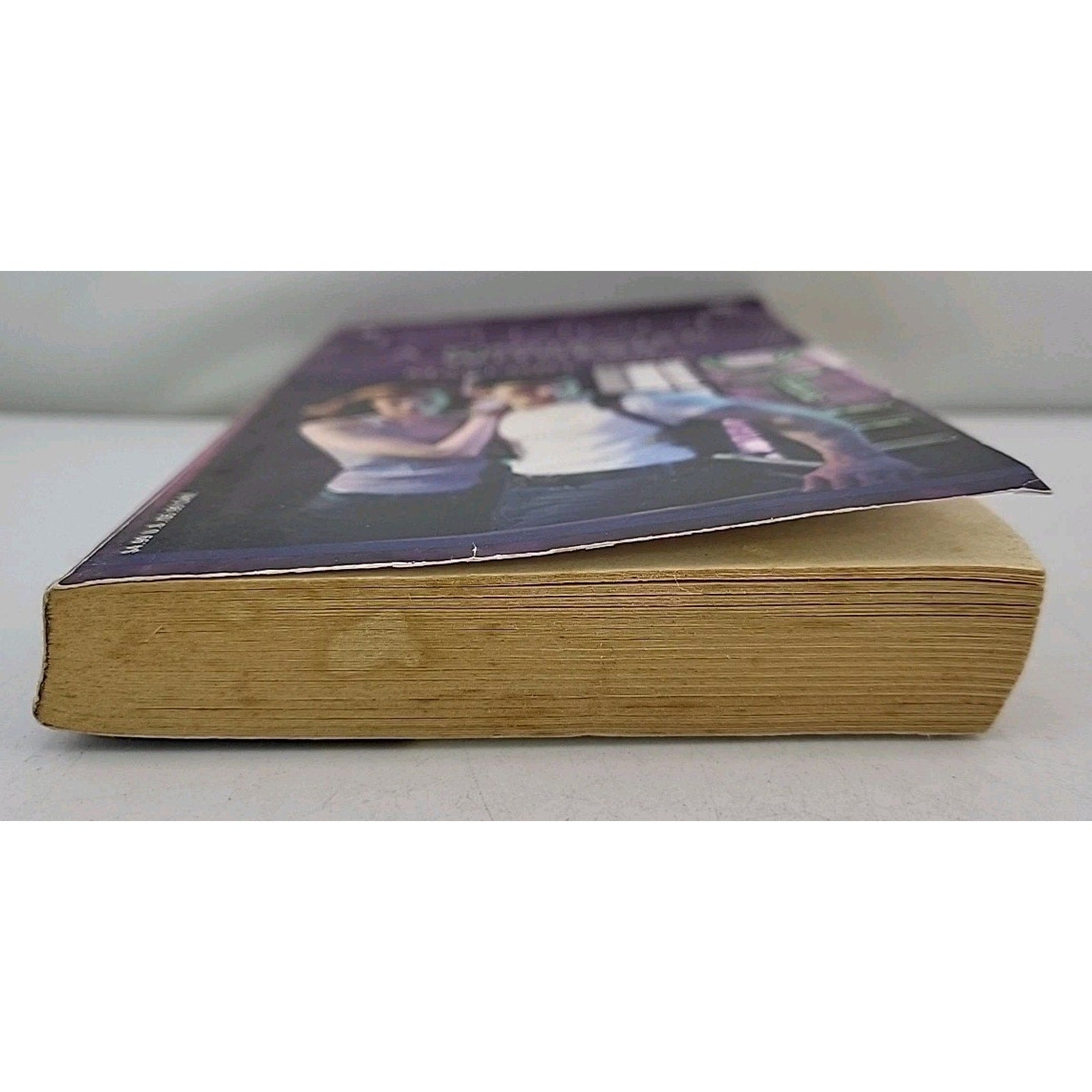 Protected Witness by Mallory Kane (2004, Mass Market)
