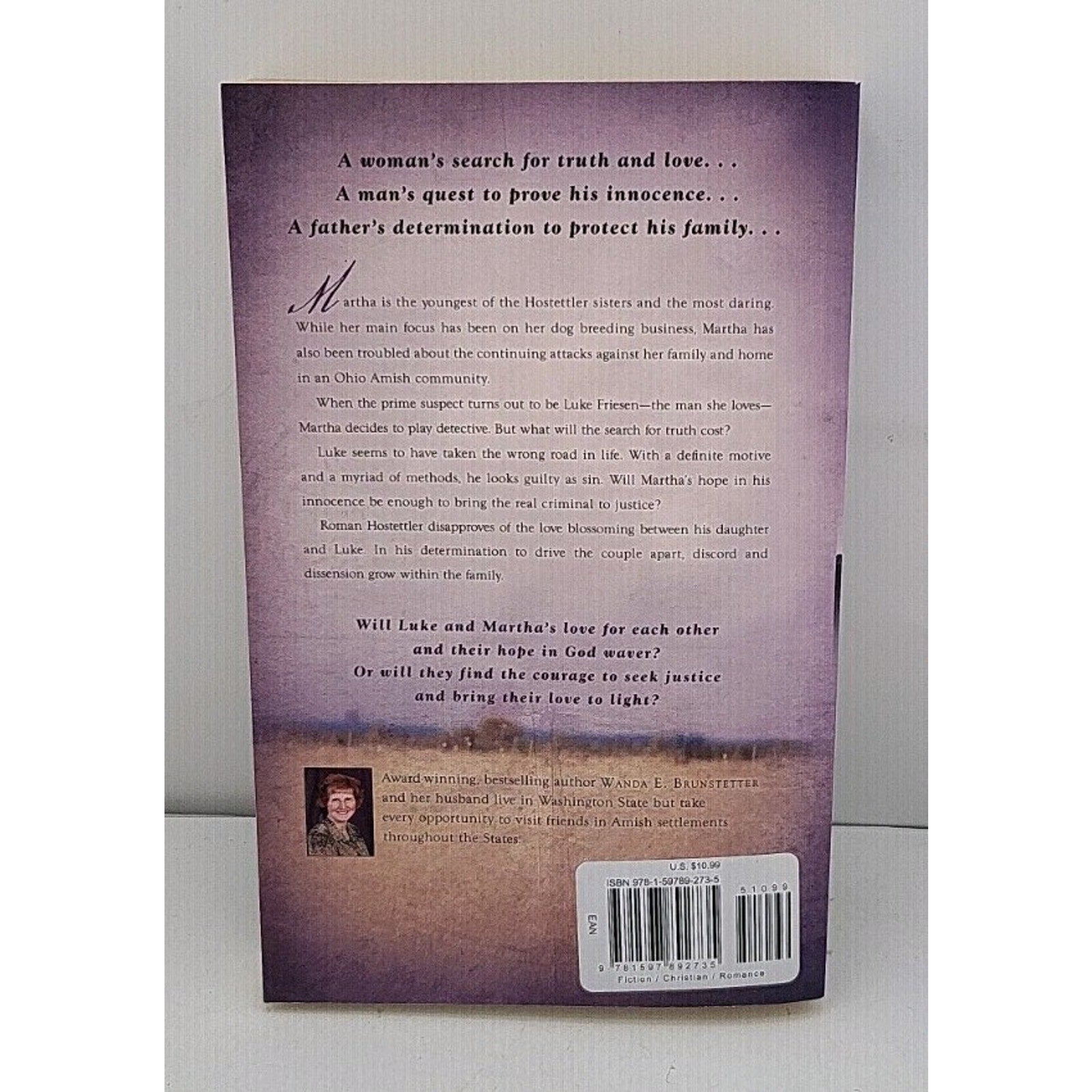 Sister's Hope by Wanda E. Brunstetter (2008, Trade Paperback)