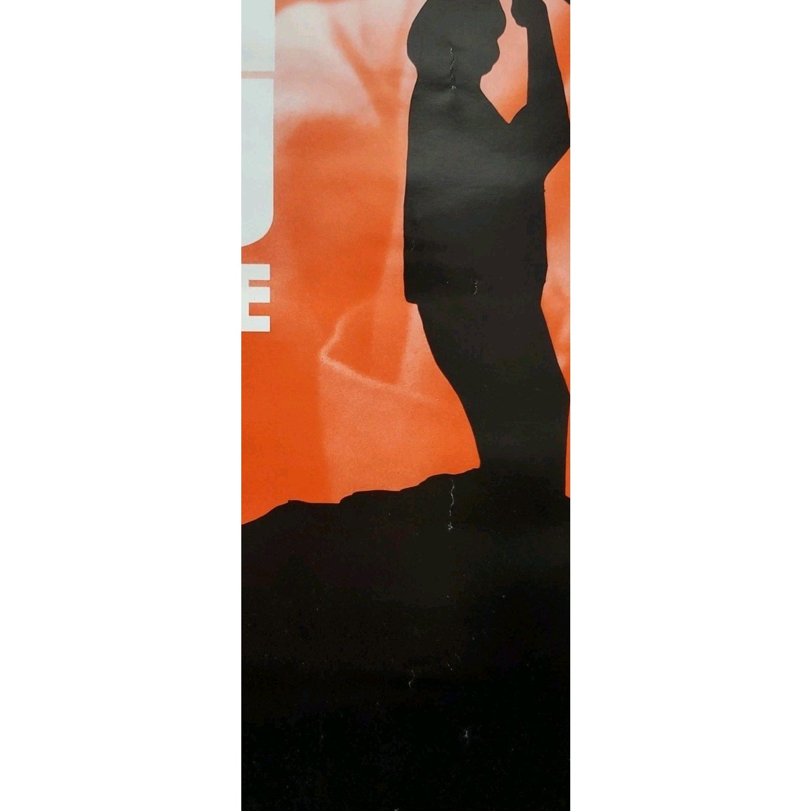 Kung Fu Poster Brandon Son Of Bruce Lee The Movie Video Store Promotional 16x25