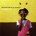 Beautiful World by Big Head Todd & Monsters (CD, 1997)