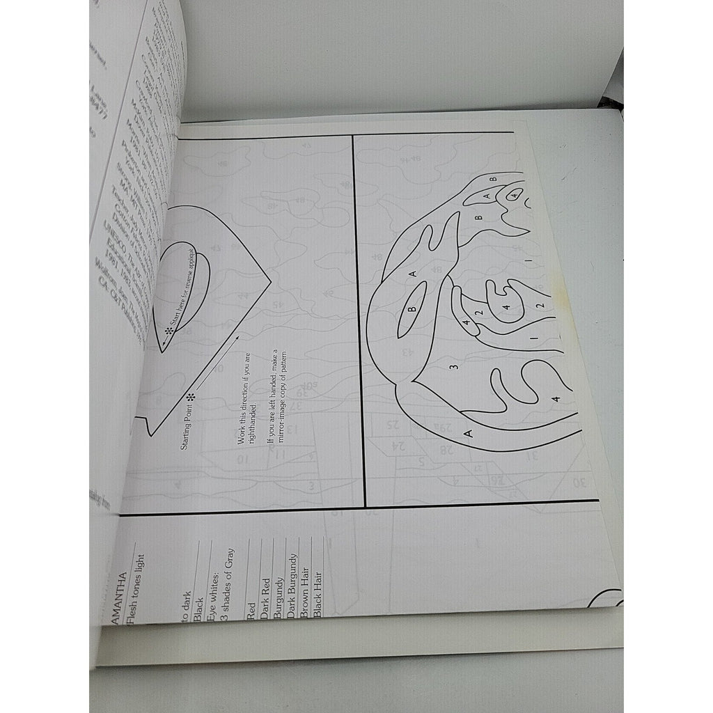 Faces and Places : Images in Appliqué by Charlotte Warr Andersen (2030, Trade...