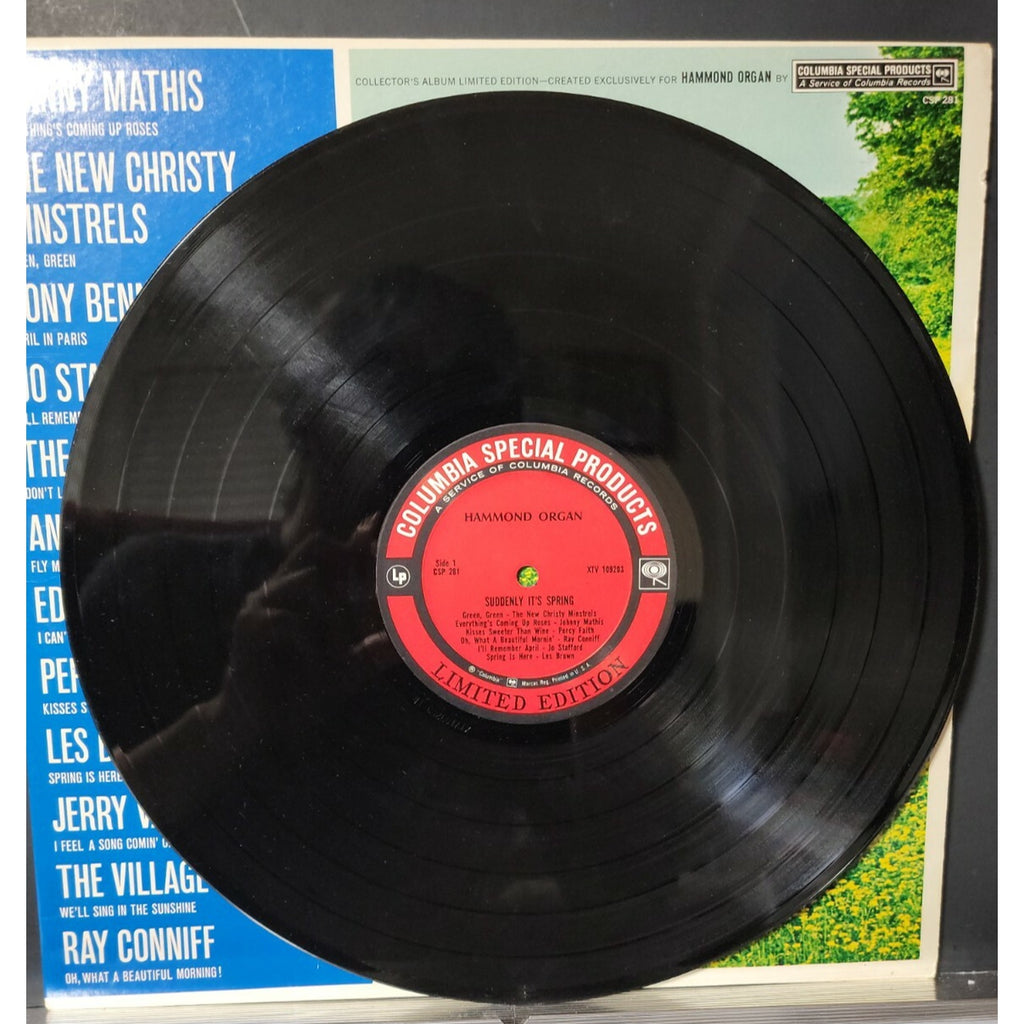 Suddenly Its Spring Vinyl