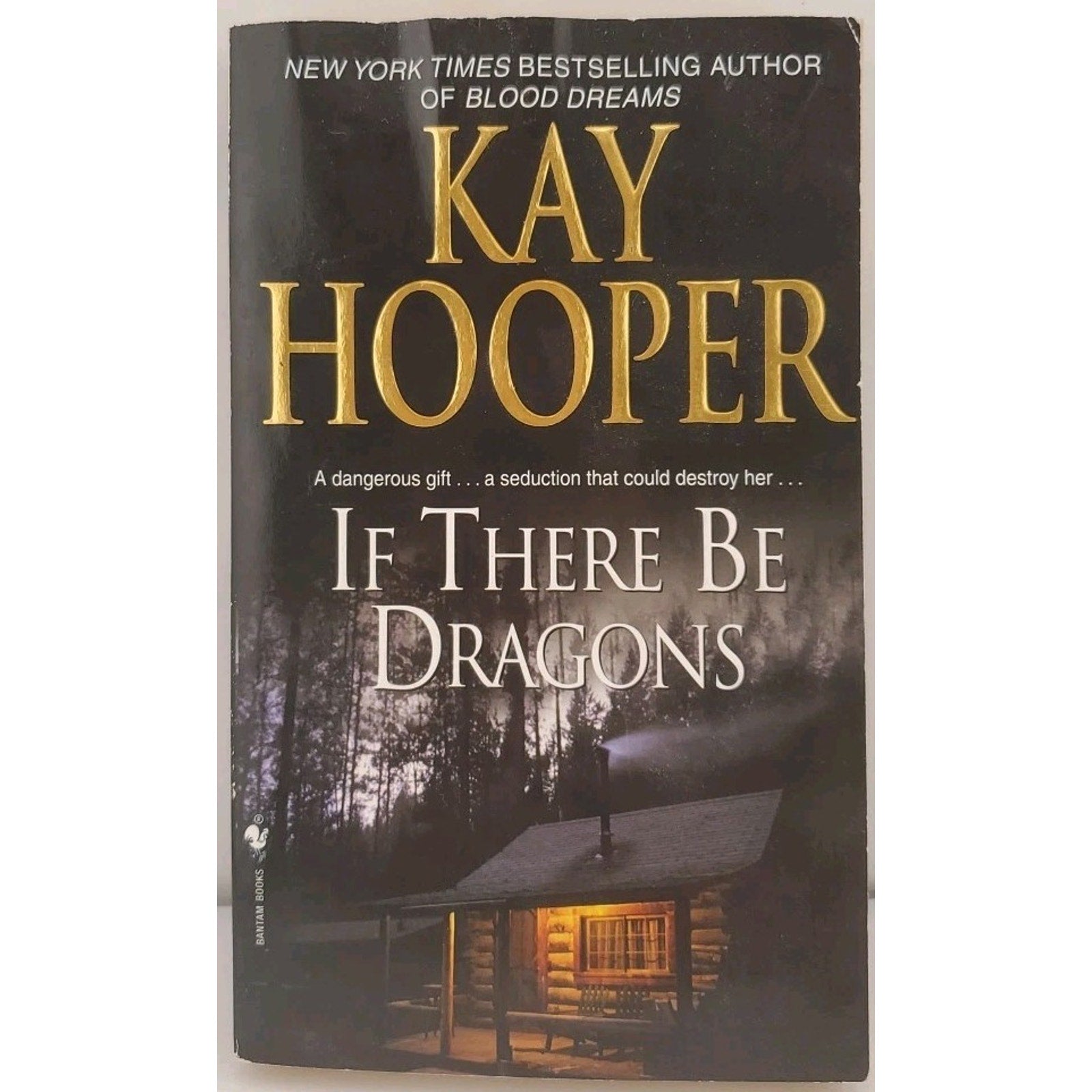 If There Be Dragons : A Novel by Kay Hooper (2008, Trade Paperback)