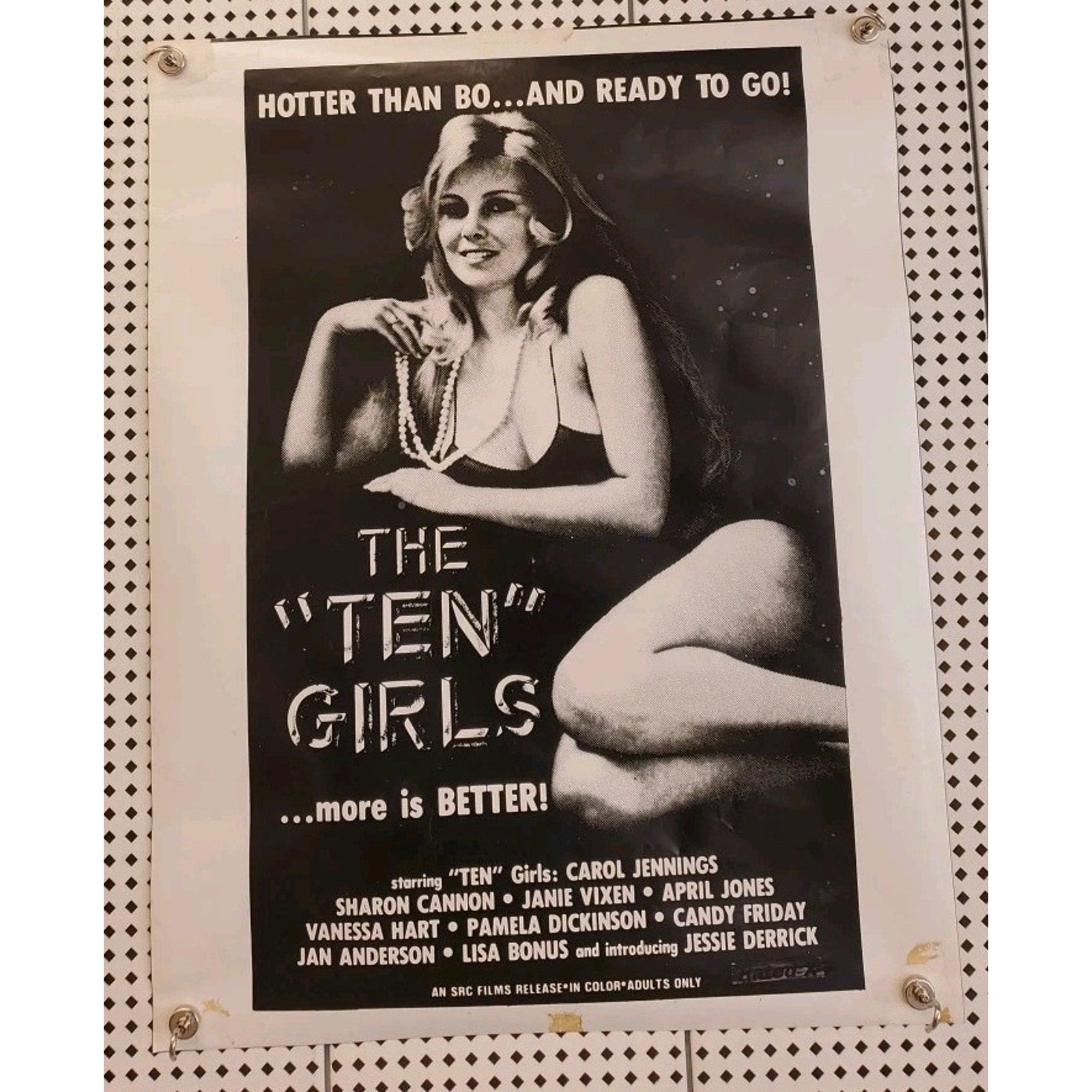 The 'Ten' Girla 1981 Movie Poster 18x58 Carol Jennings Janie Vixen