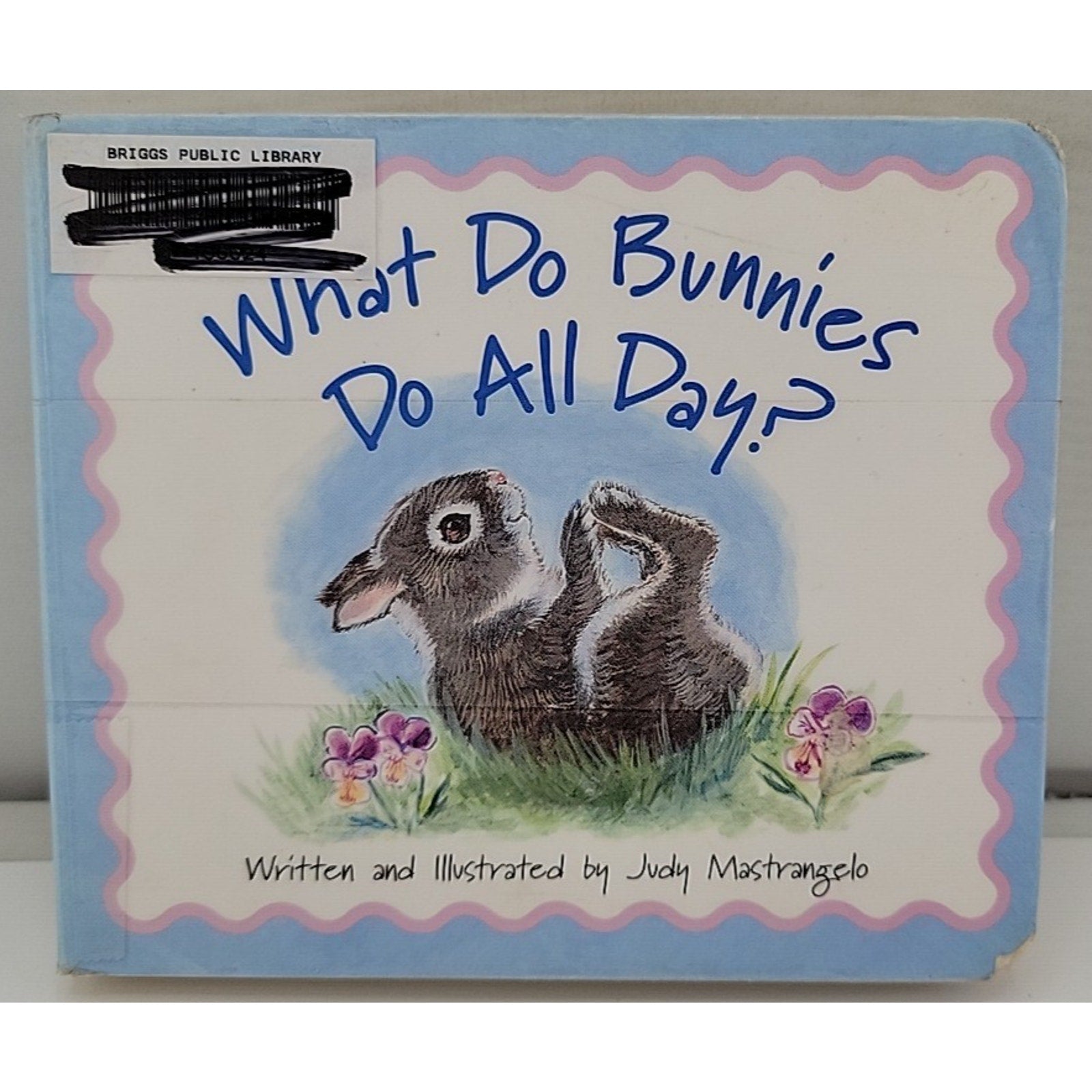 What Do Bunnies Do All Day by Judy Mastrangelo (2005, Children's Board Books)