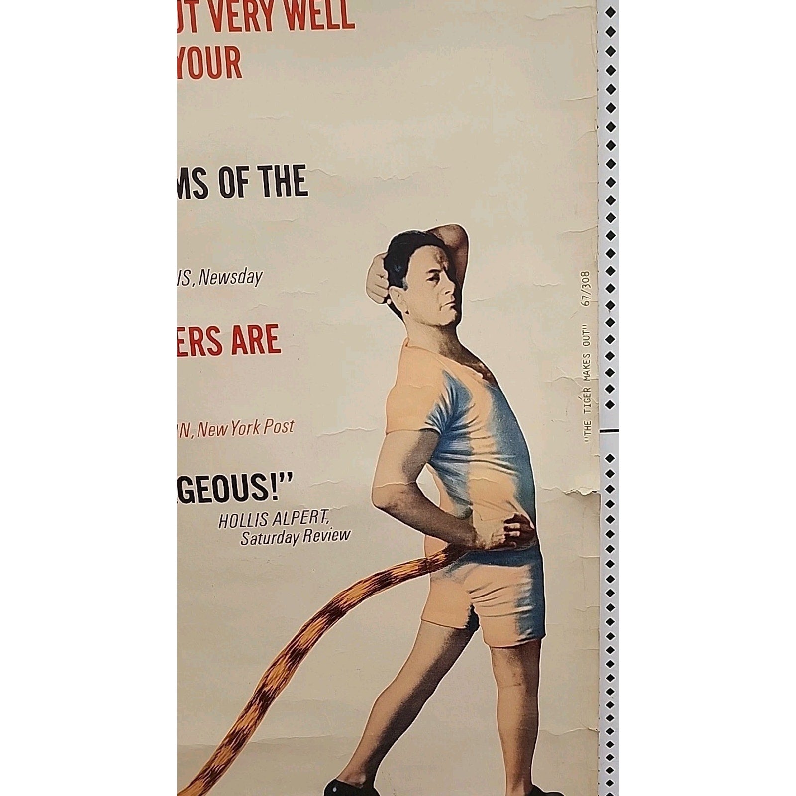 The Tiger Makes Out Movie Poster 30x40
