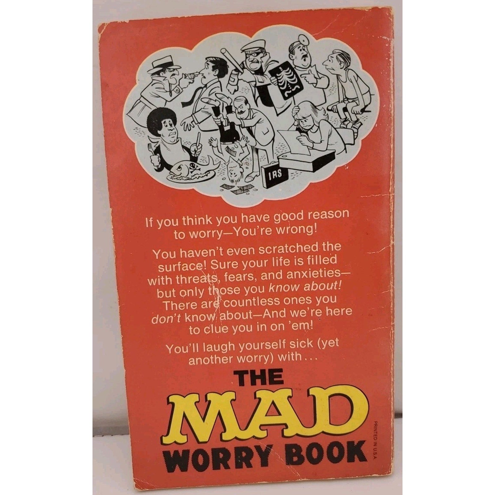 The Mad Worry Book