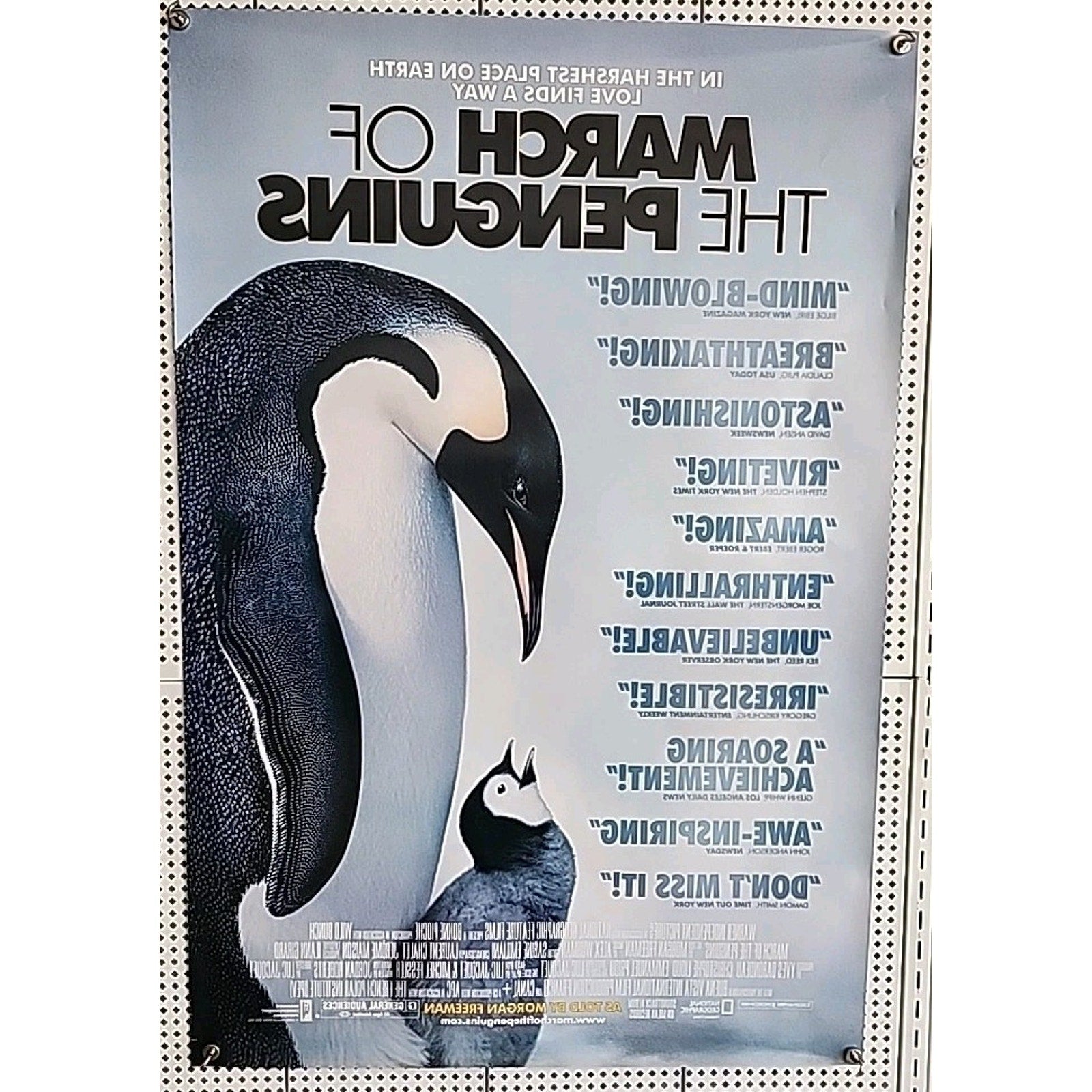 March of the Penguins 2005 Double Sided Original Movie Theater Poster 27" x 40"