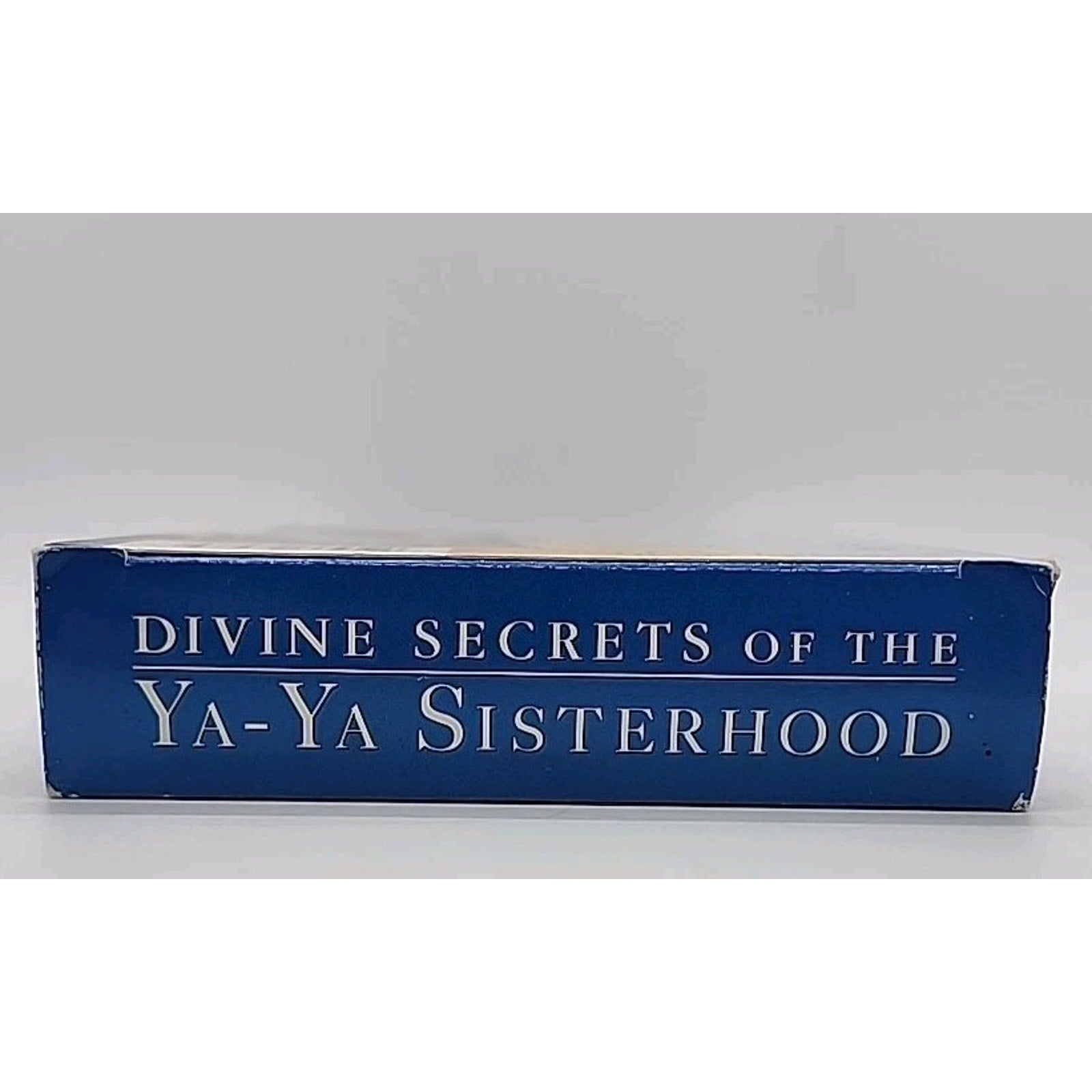 Divine Secrets of the Ya-Ya Sisterhood (VHS, 2002)