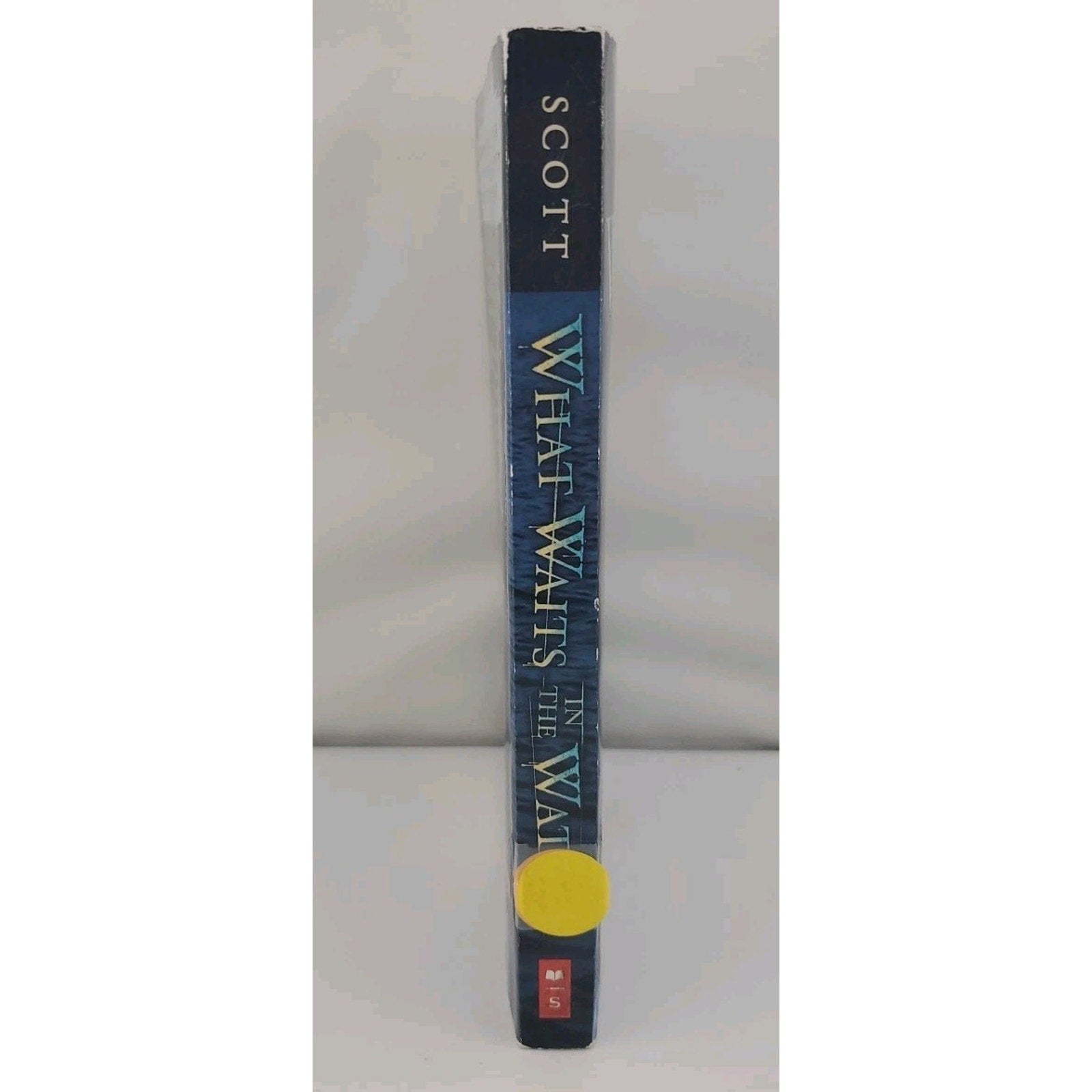 What Waits in the Water by Kieran Scott (Paperback)