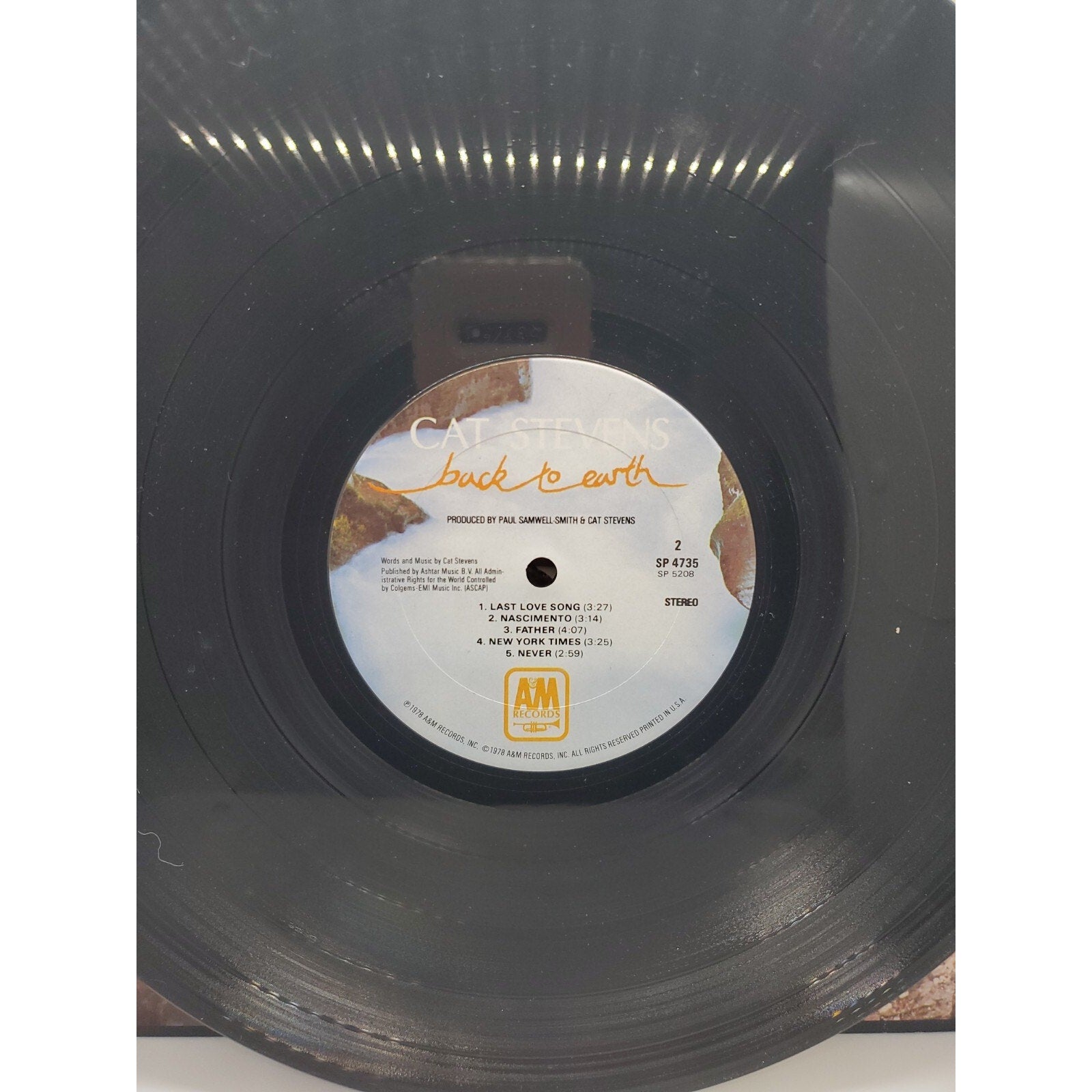 Back To Earth by Yusuf ( Stevens, Cat ) (Record, 2019)