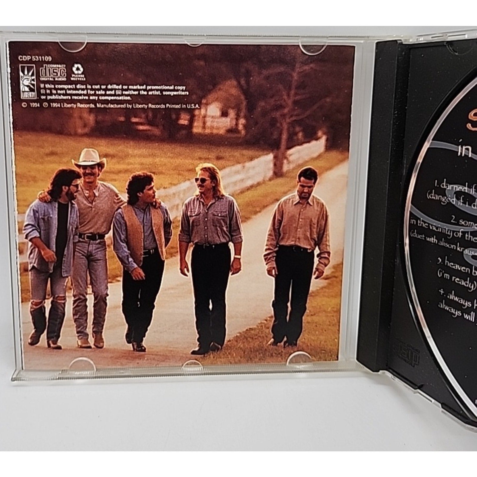 Shenandoah - in the Vicinity of the Heart (CD)