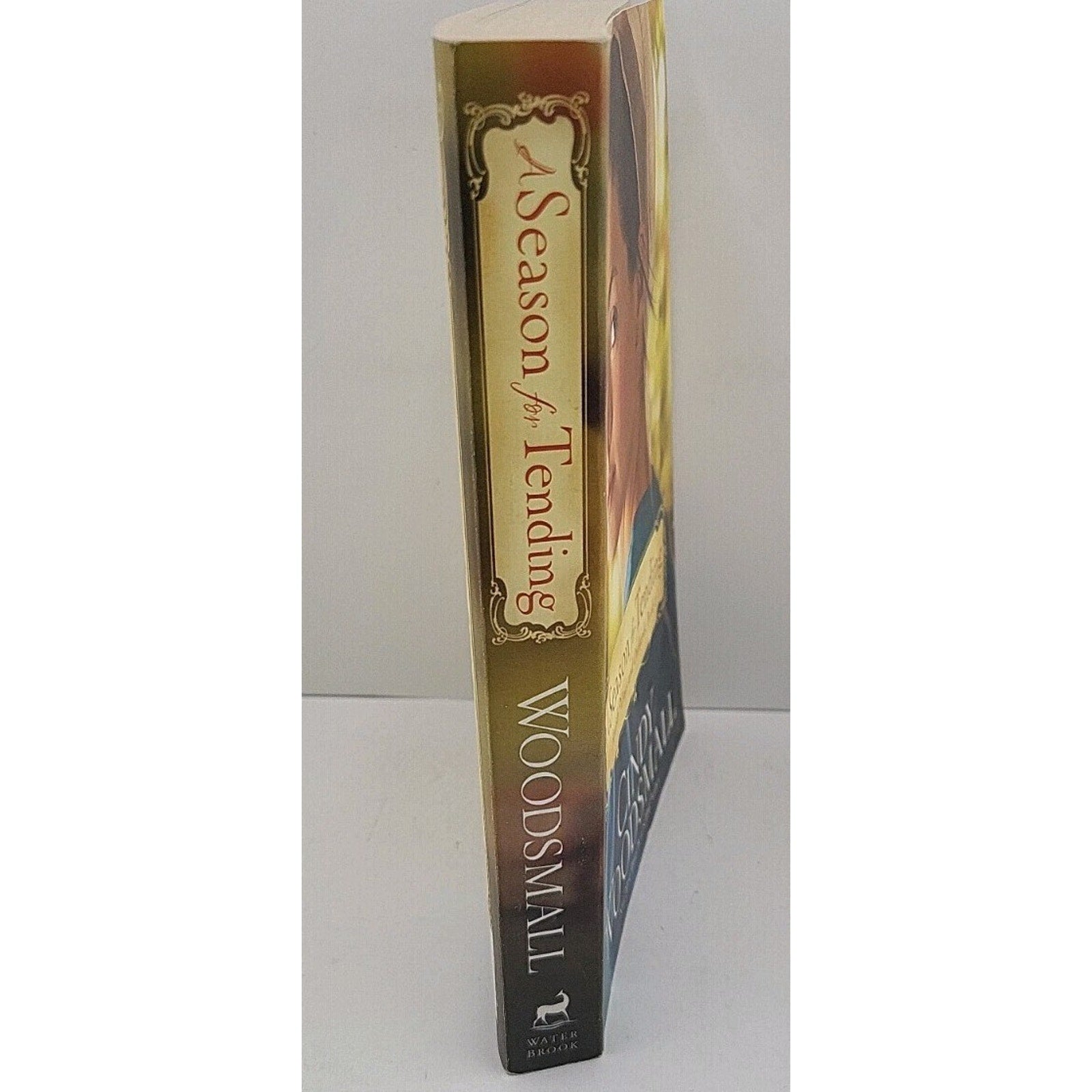 Season for Tending : Book One in the Amish Vines and Orchards Series by Cindy...