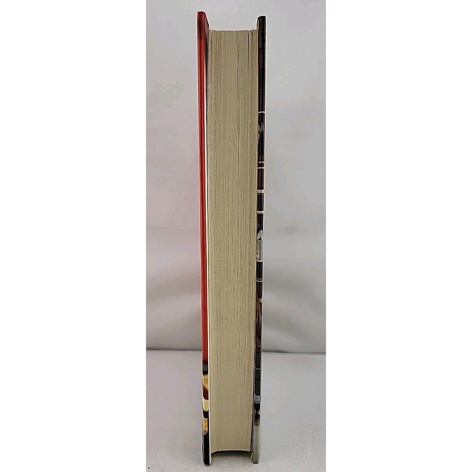 Happy Birthday by Danielle Steel (2011, Hardcover)