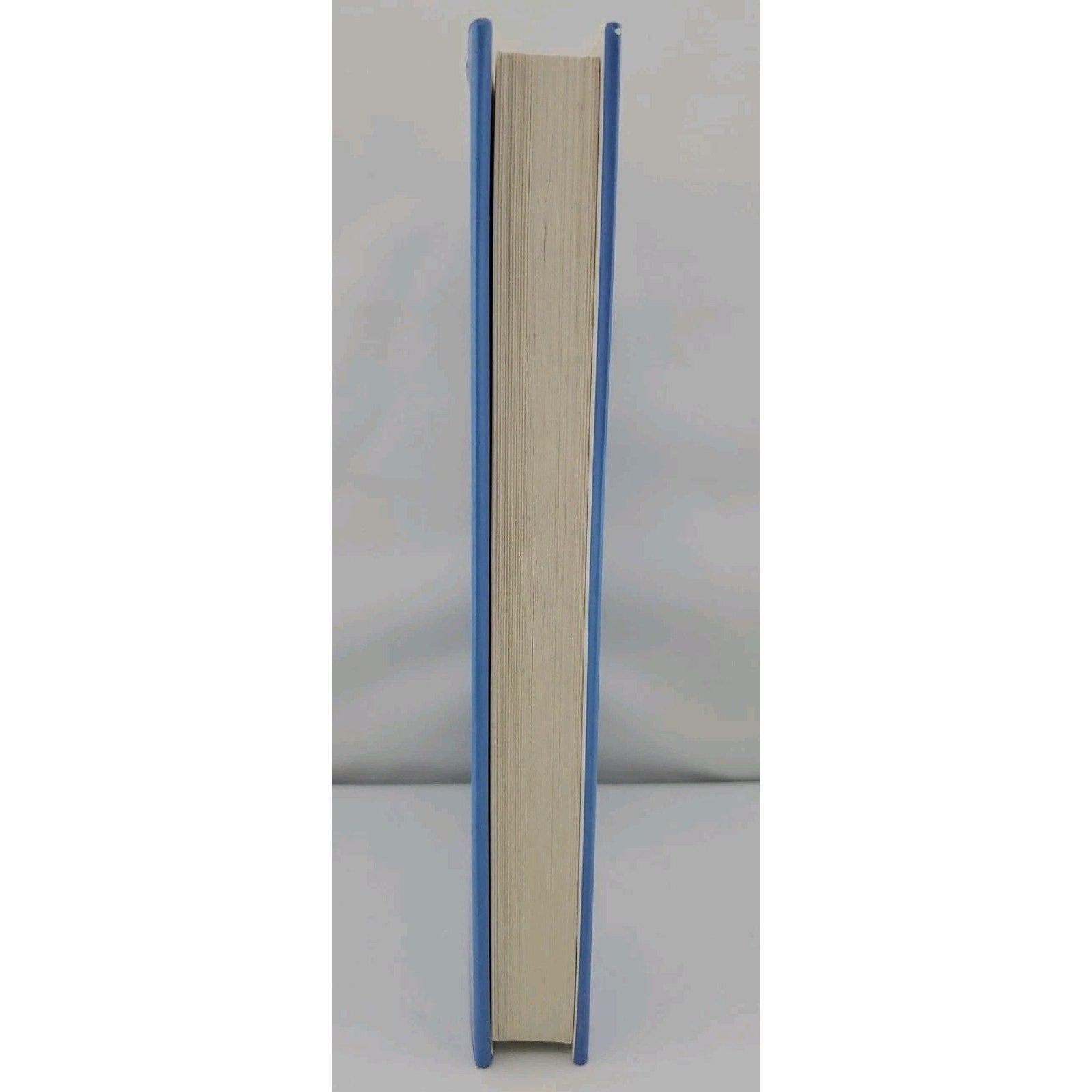 Heavenly Detour by Joanne Meyer (2003, Hardcover)