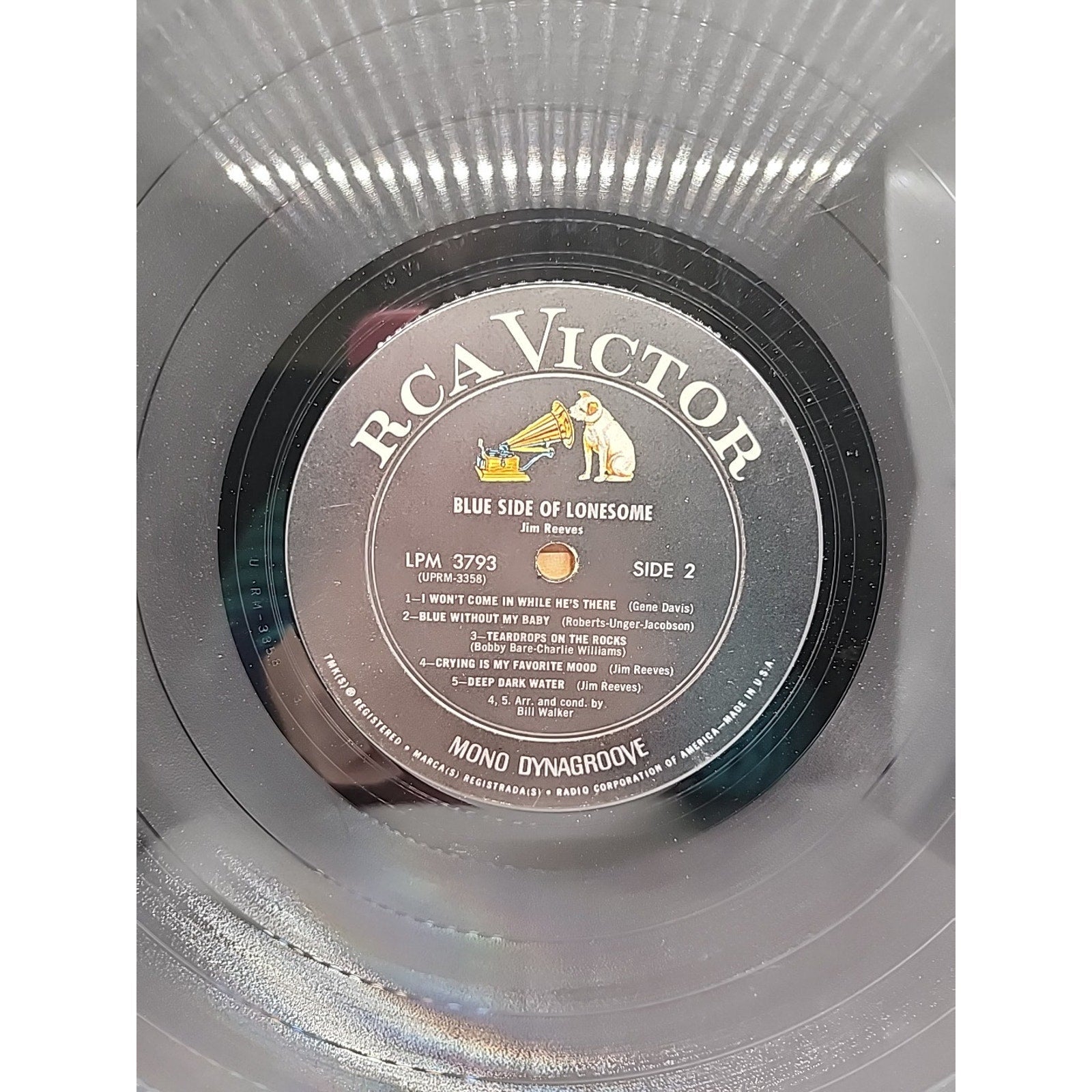 Jim Reeves, Blue Side of Lonesome (Record)