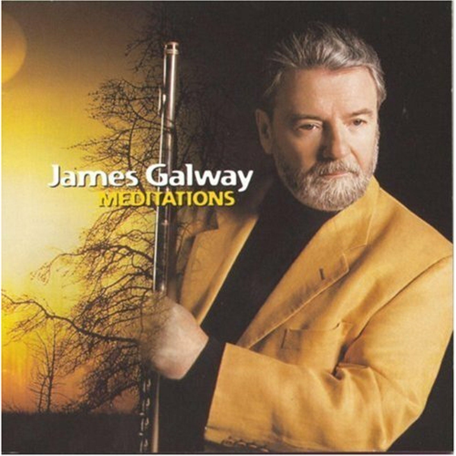 Meditations by James Galway (CD, 1998) *Brand New*