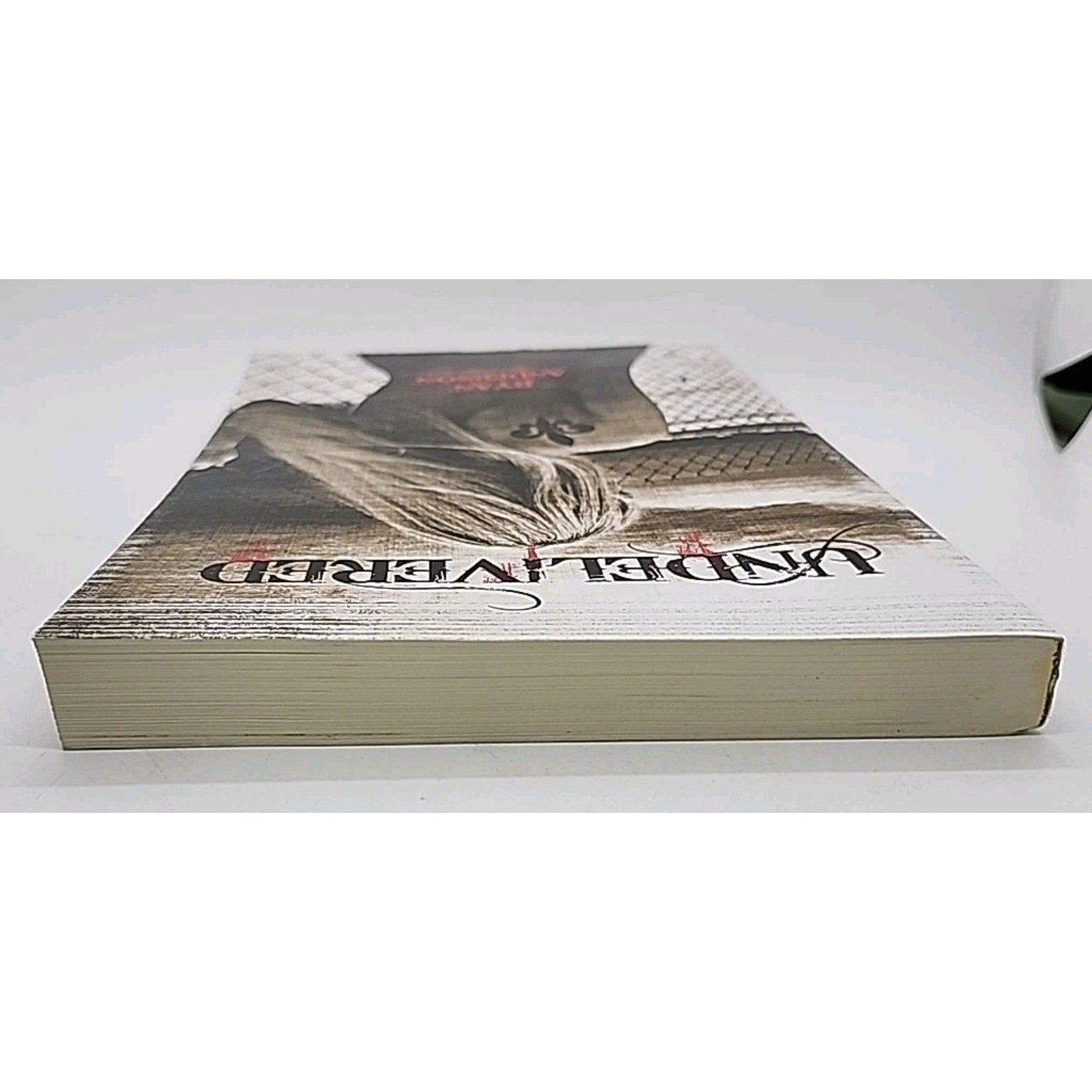 Undelivered by Ryan Anderson (2010, Trade Paperback)