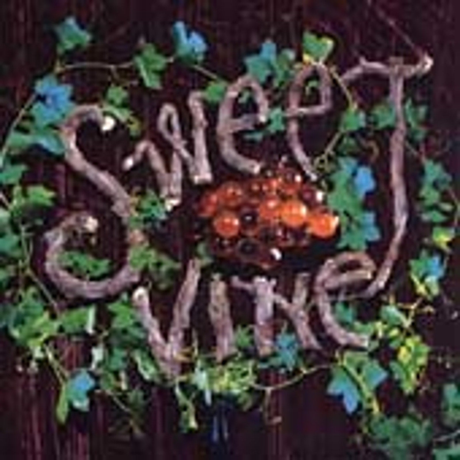 Sweet Vine by Sweet Vine (CD, Feb-1997, Sony Music Distribution (USA))
