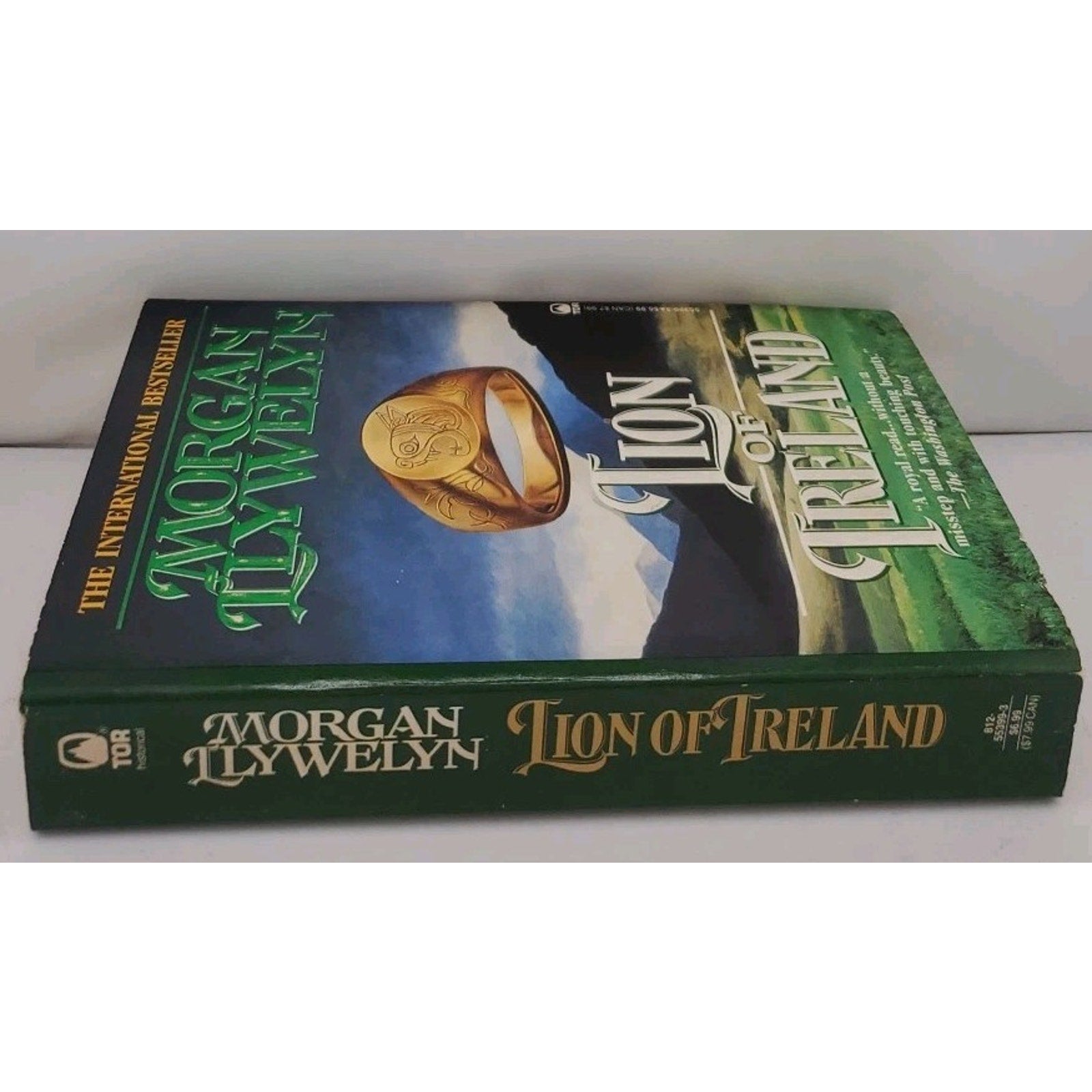 Lion of Ireland by Morgan Llywelyn (1996, Mass Market)