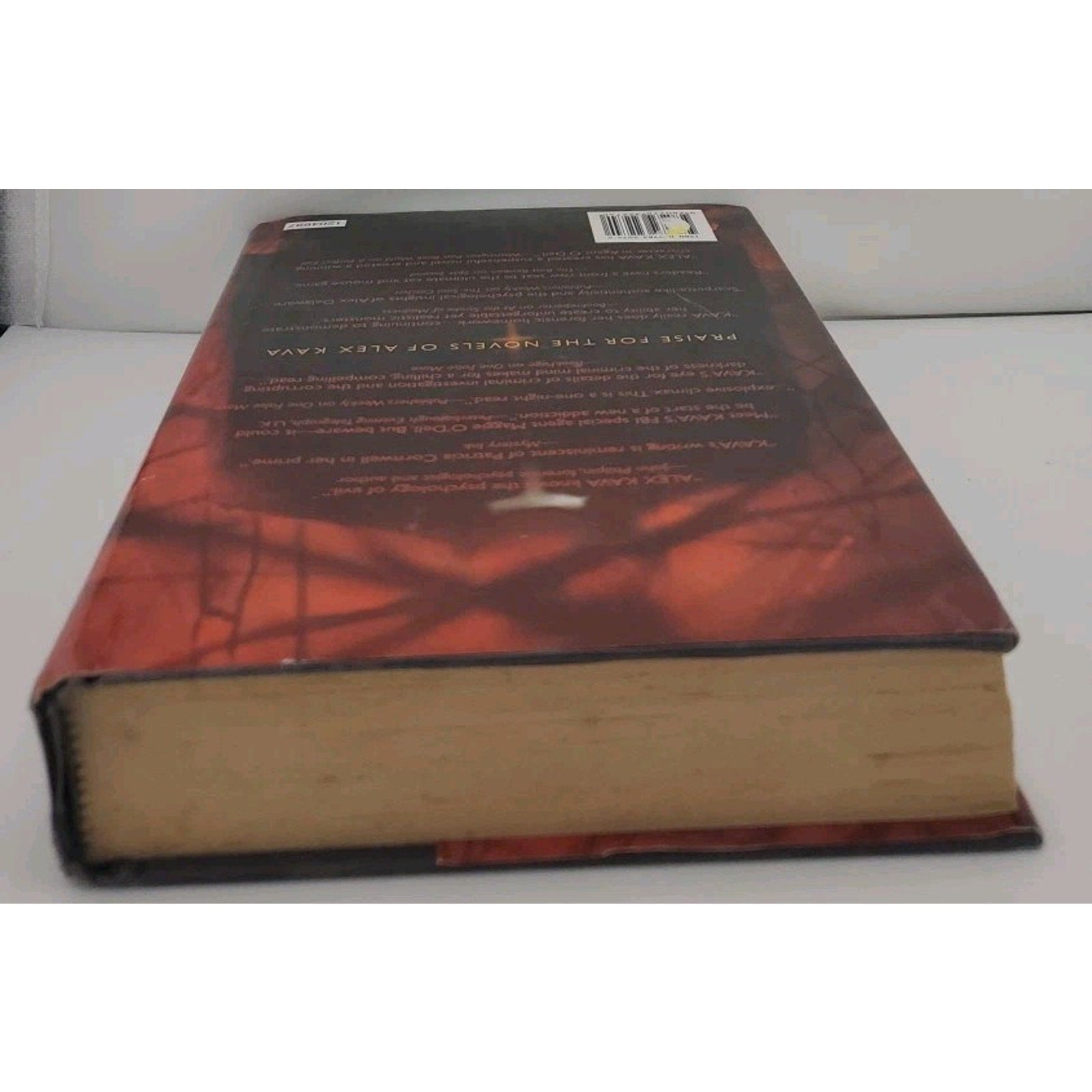 Necessary Evil by Alex Kava (2006, Hardcover)