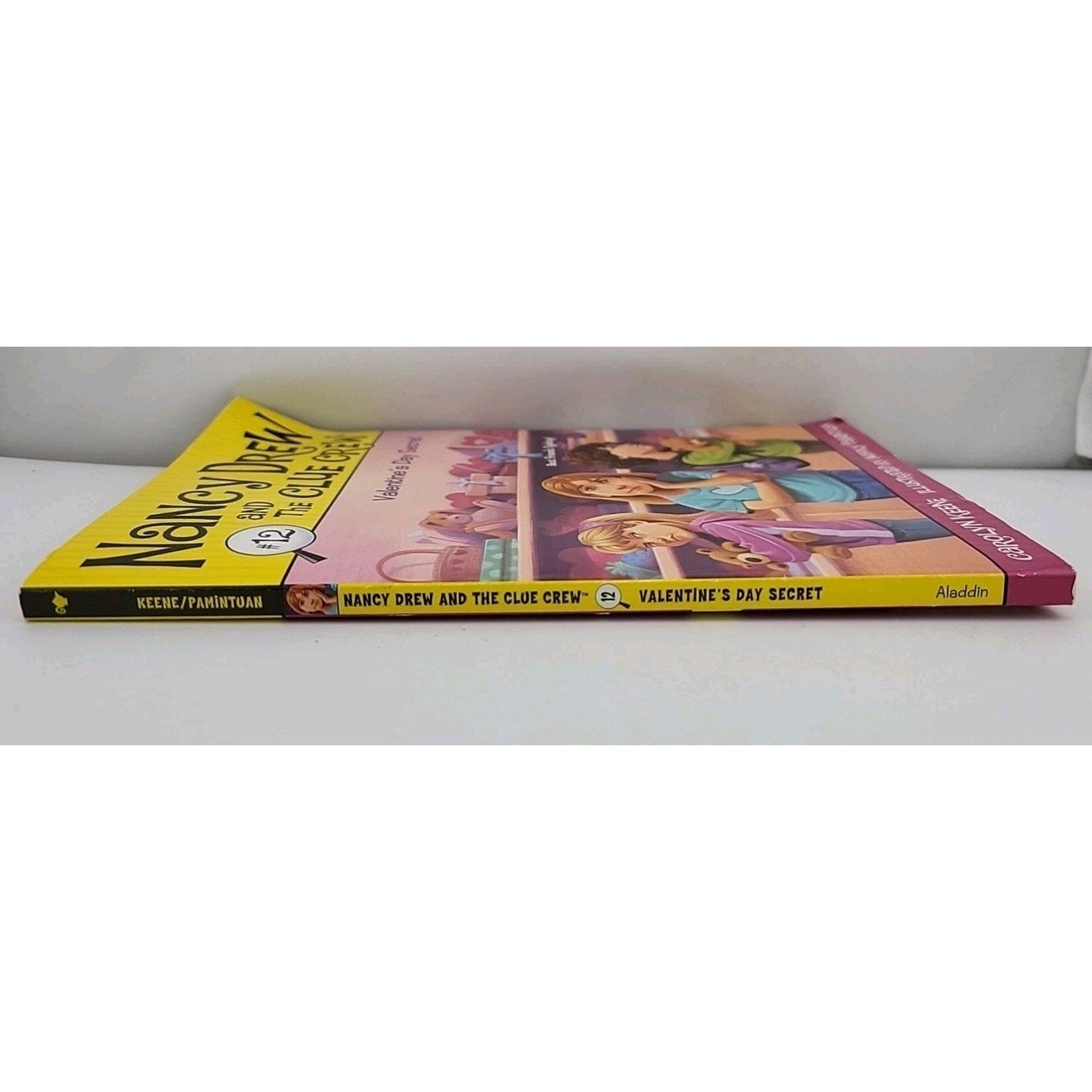 Valentine's Day Secret by Carolyn Keene (2007, Trade Paperback)