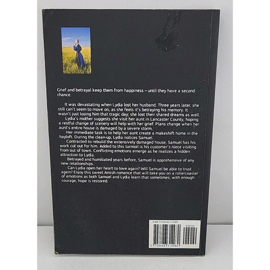 Amish Romance Naomi Troyer - Hope Restored