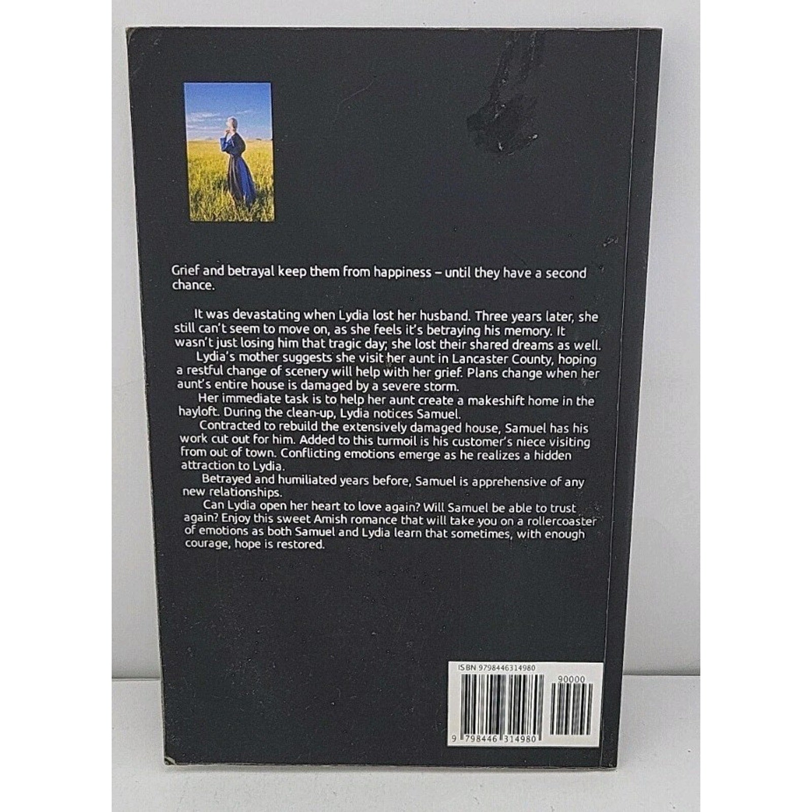 Amish Romance Naomi Troyer - Hope Restored