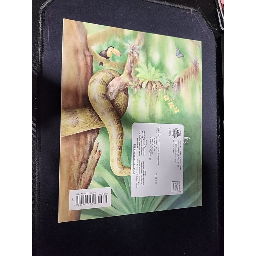 Little Monkey Lost - Paperback By DuQuette, Keith