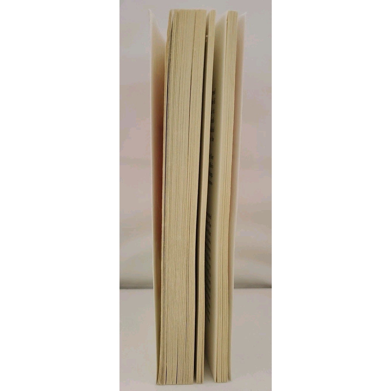 Catcher in the Rye by J. D. Salinger (2001, Trade Paperback)
