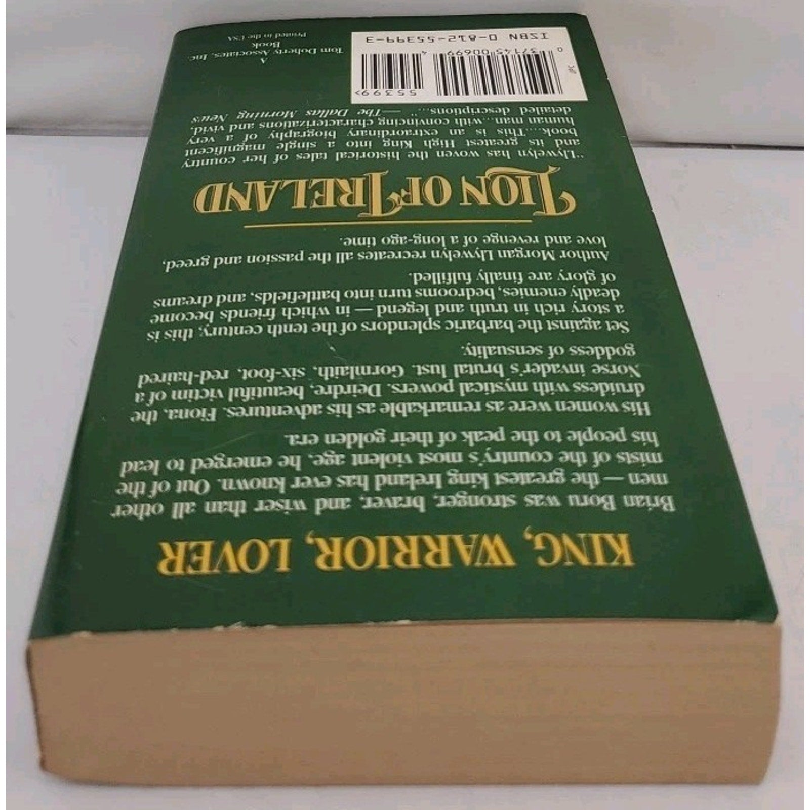 Lion of Ireland by Morgan Llywelyn (1996, Mass Market)