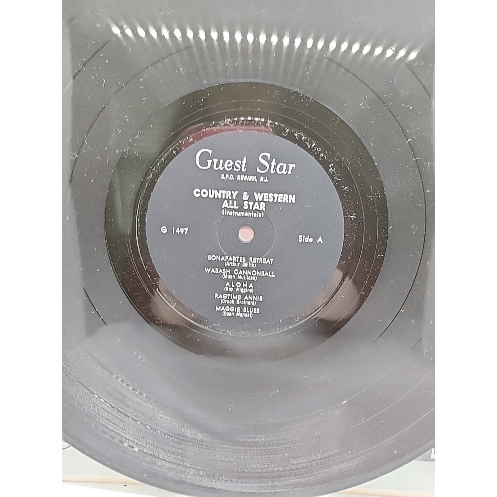 The “Sleepwalk” Guitars Of Dan & Dale Country & Western Hits (Record)
