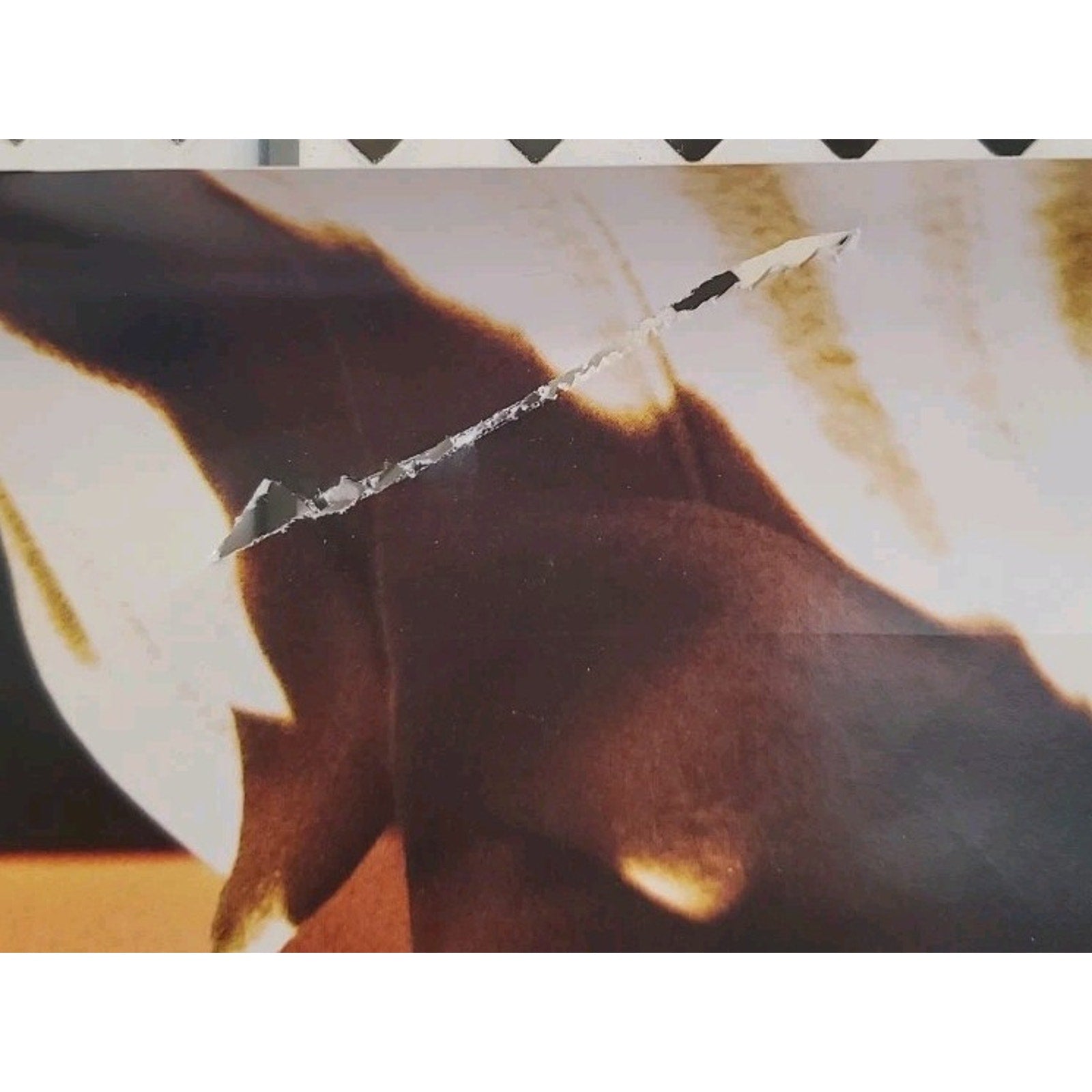 The Fountain (2006) Poster 27x40 DS Original Darren Aronofsky