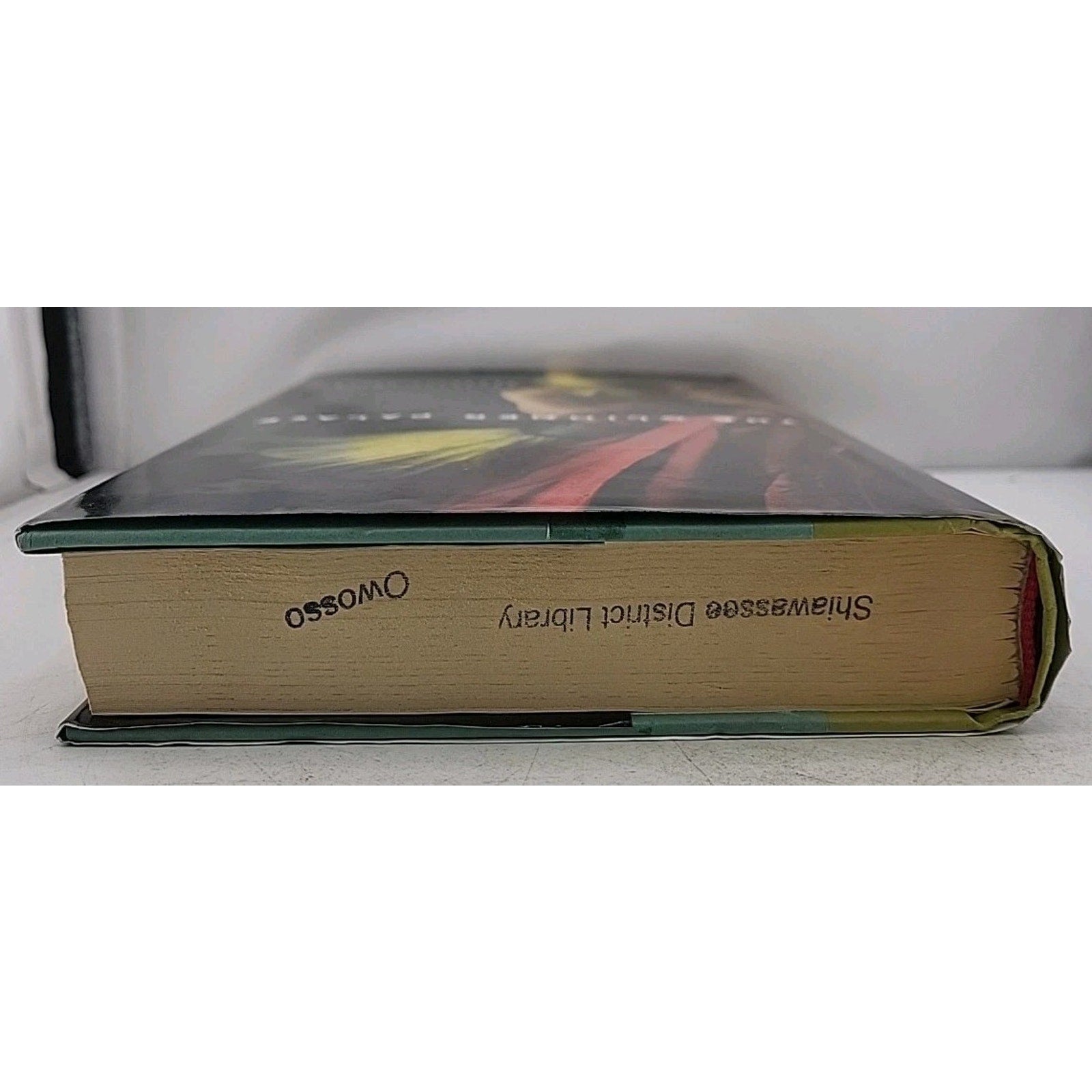 Glimmer Palace by Beatrice Colin (2008, Hardcover)