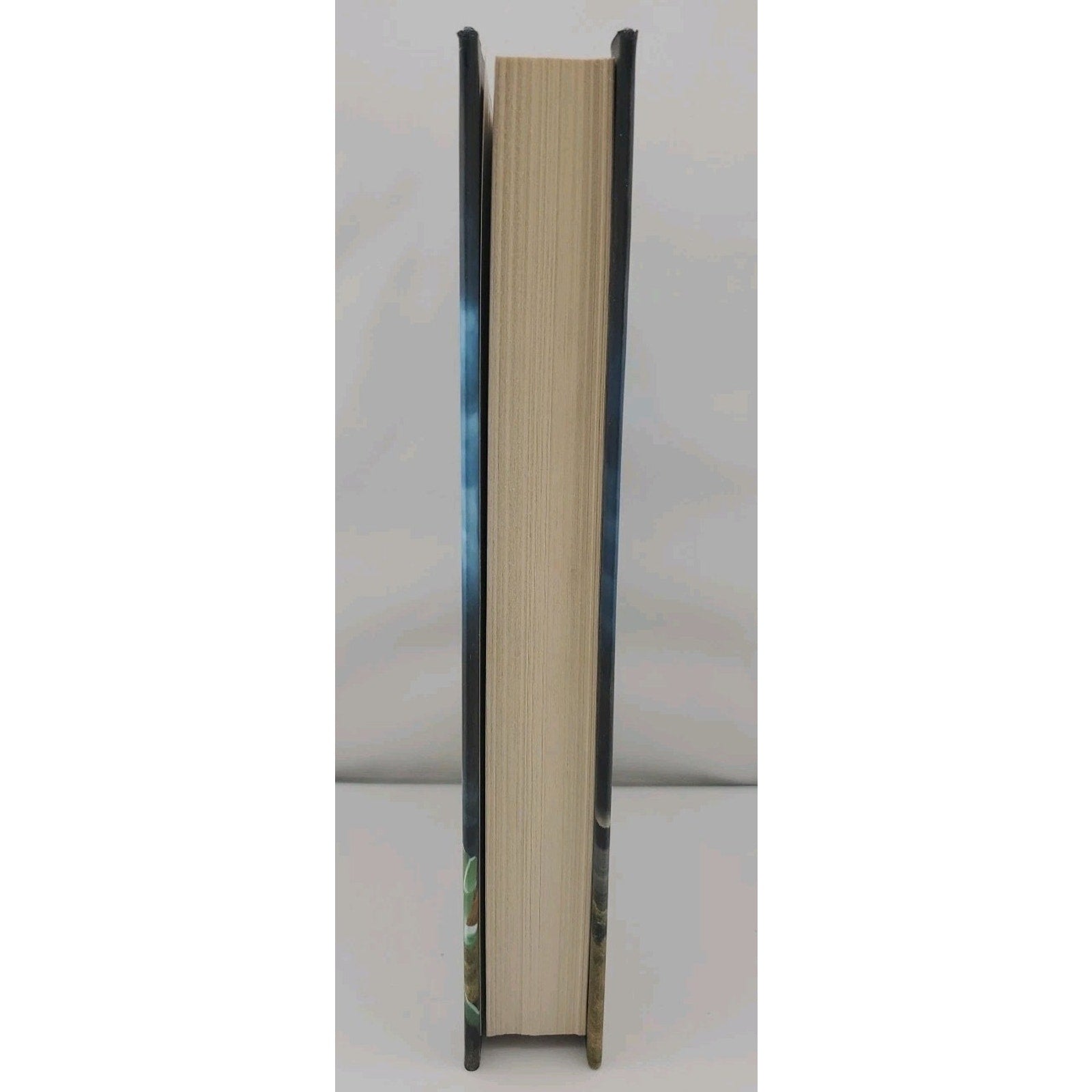 One Big Happy Family: A Novel - Day, Jamie (Hardcover)