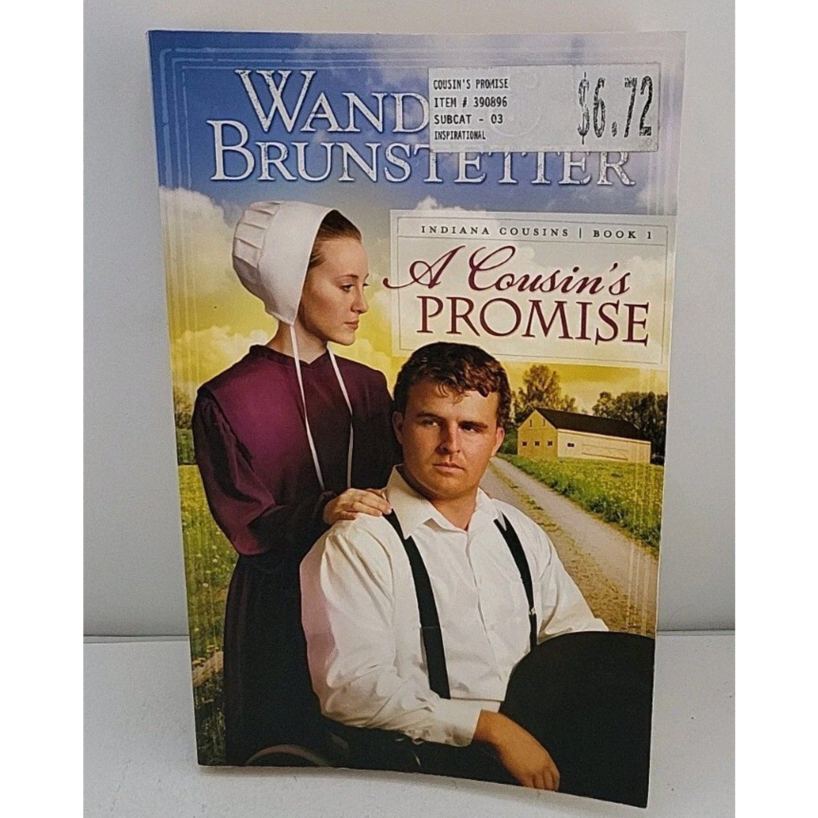 Cousin's Promise by Wanda E. Brunstetter (2009, Trade Paperback)