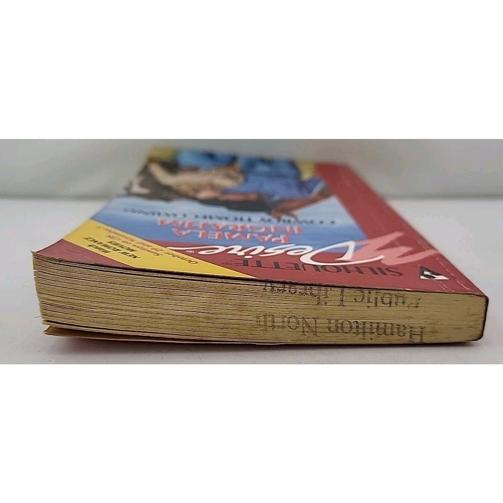Cowboy Homecoming by Pamela Ingrahm (1995, Mass Market)