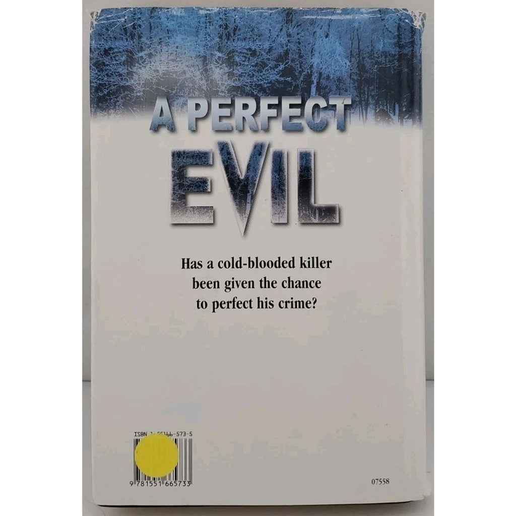 Perfect Evil by Alex Kava (2000, Hardcover)