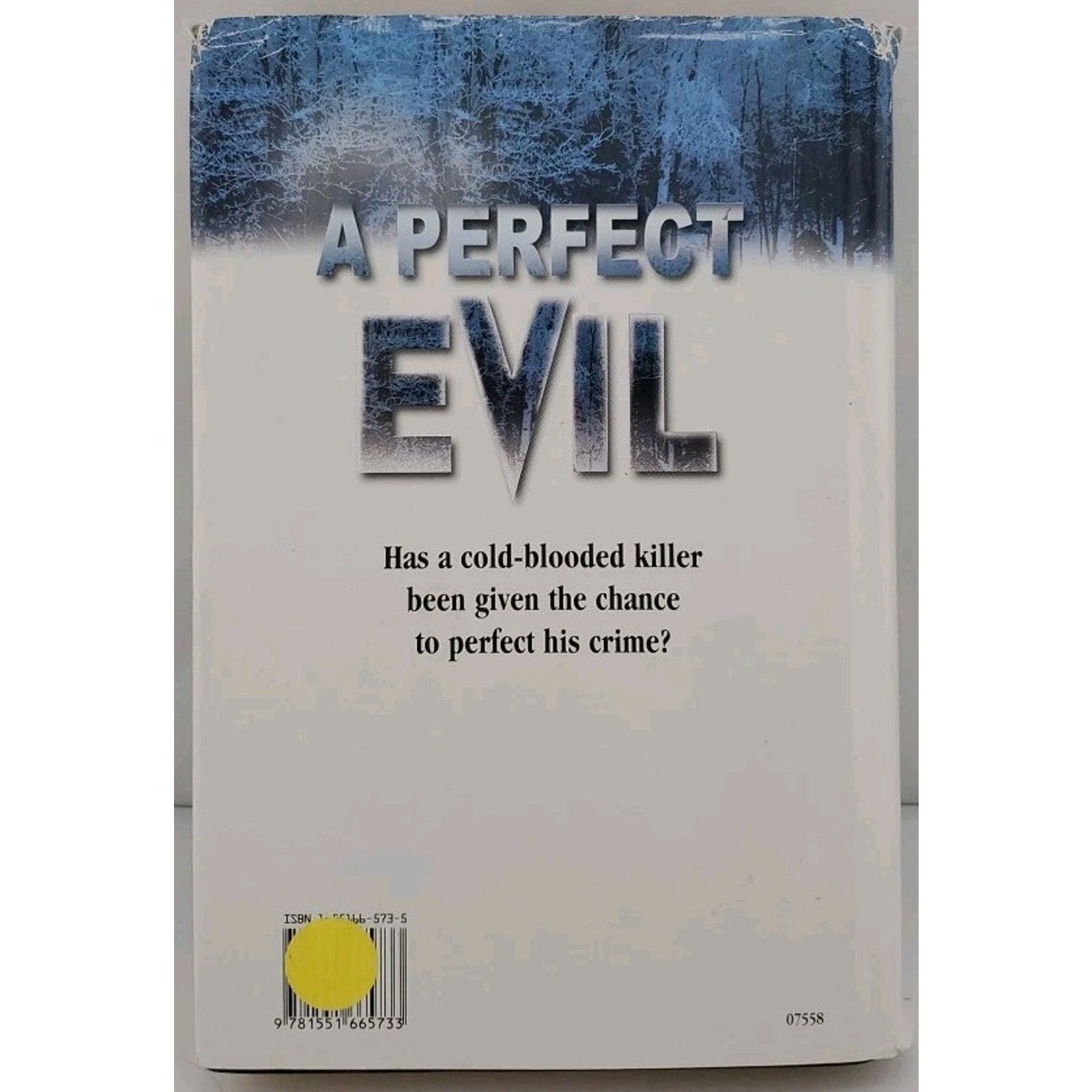Perfect Evil by Alex Kava (2000, Hardcover)