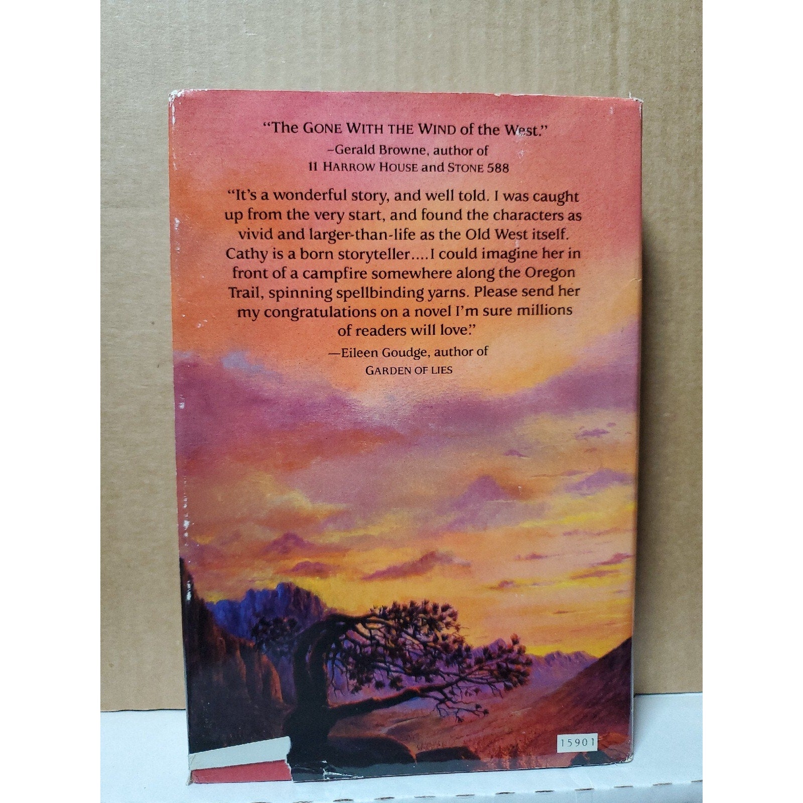 Paint the Wind Hardcover Cathy Cash Spellman