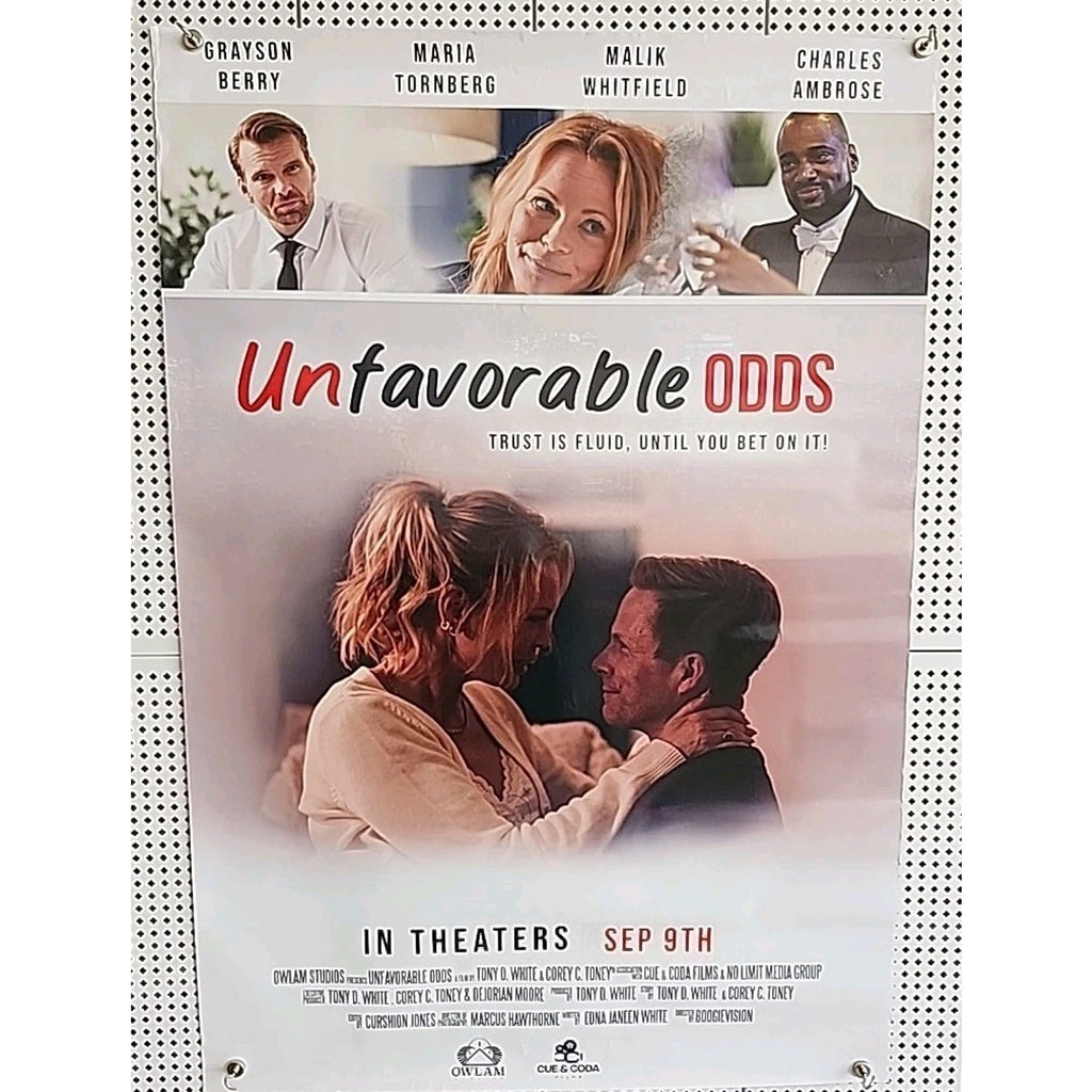 Unfavorable Odds Movie Poster 27x40 2022